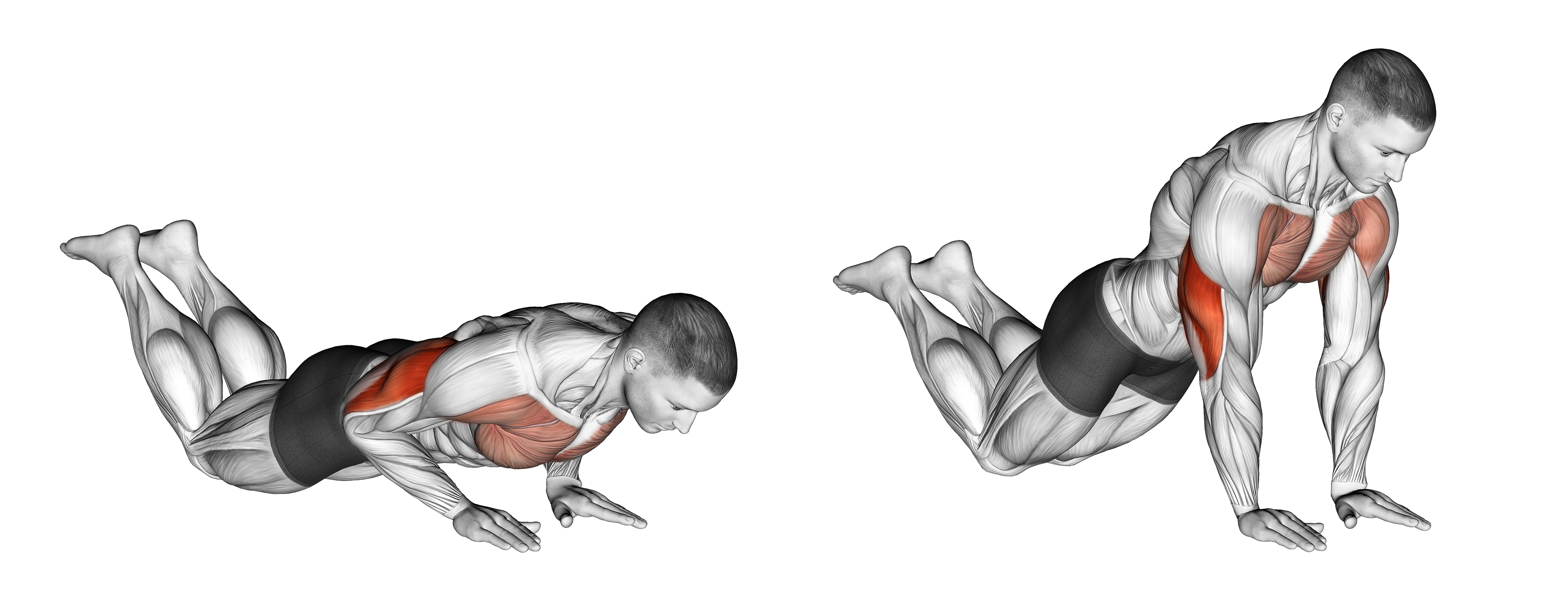 Close Grip Push Up (on Knees)