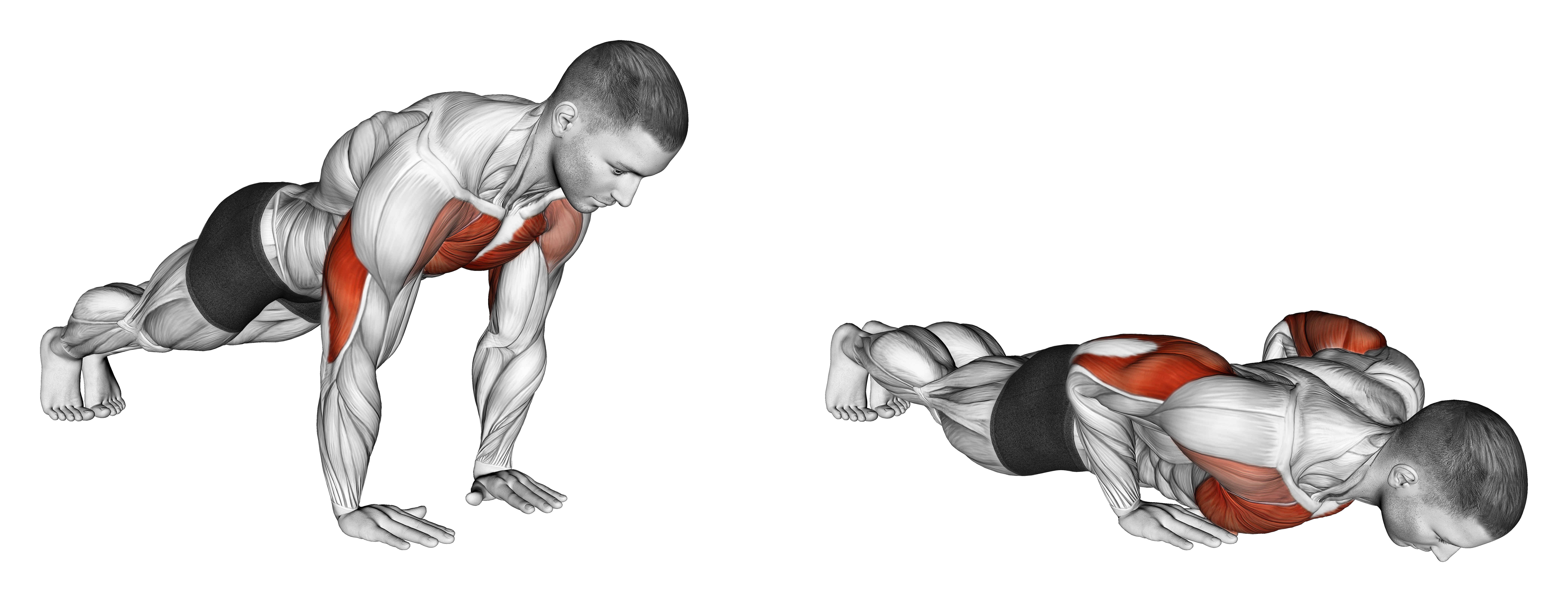 Close Grip Push Up