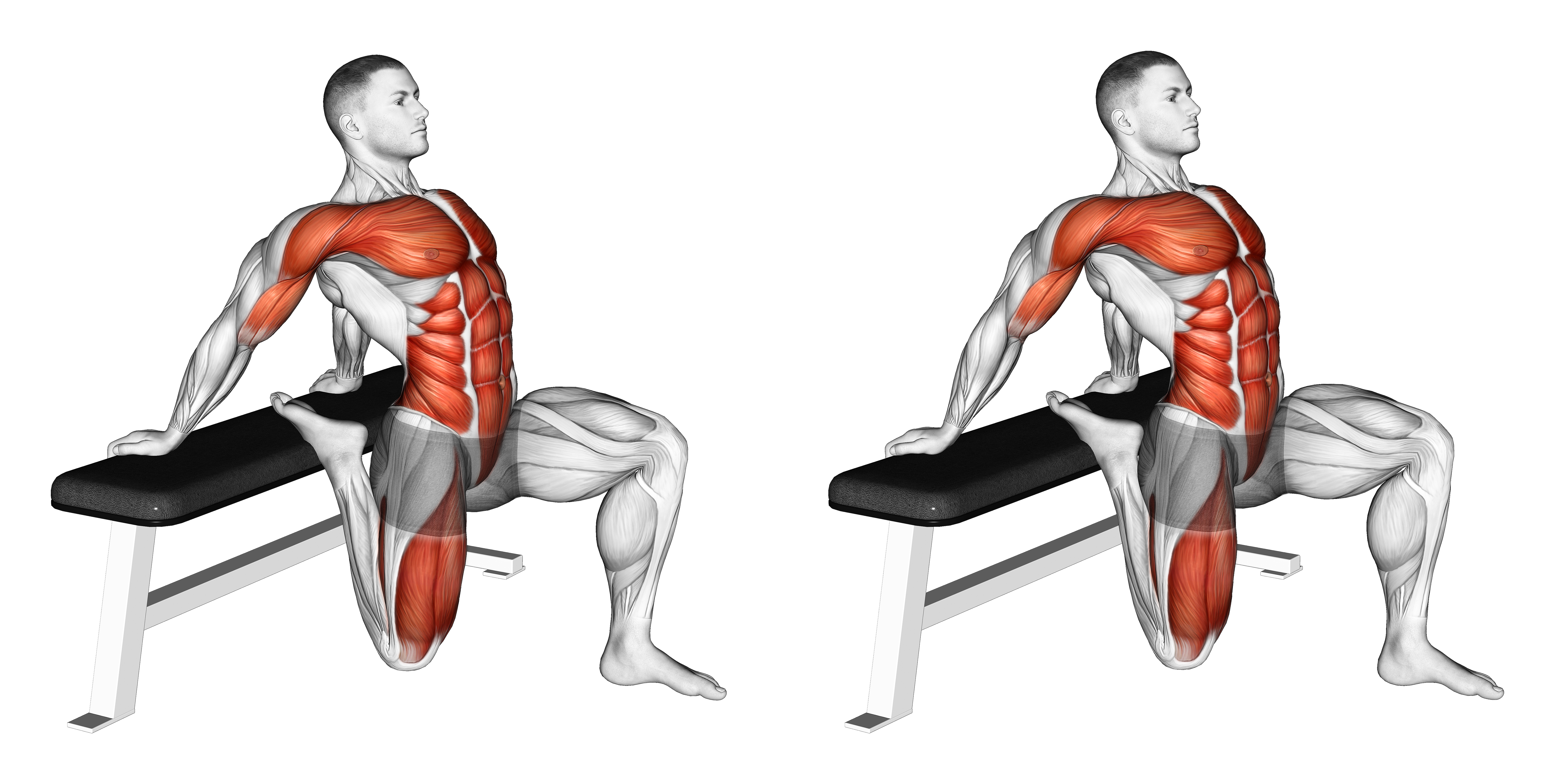 Couch Stretch