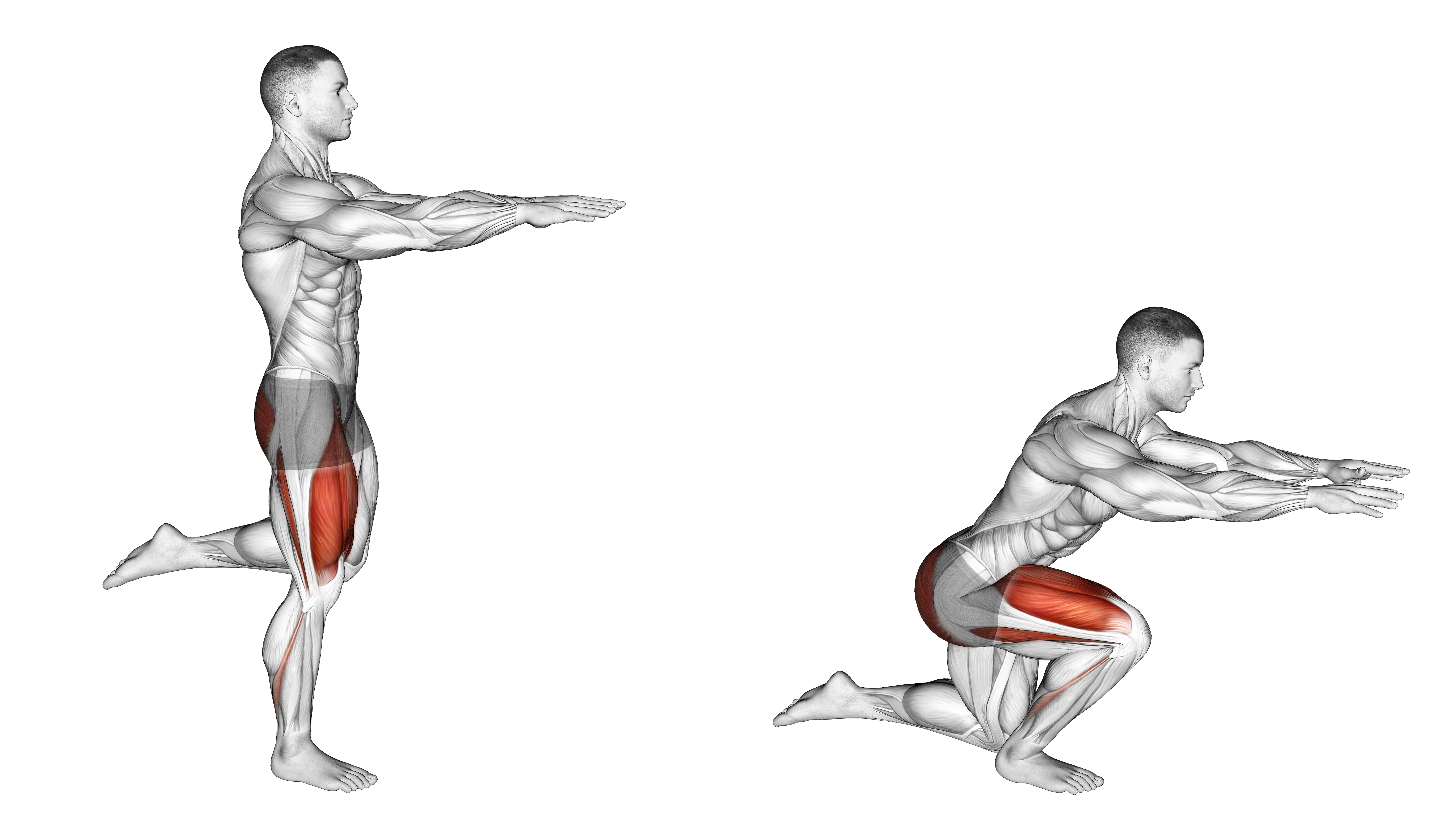 Counterbalanced Skater Squat