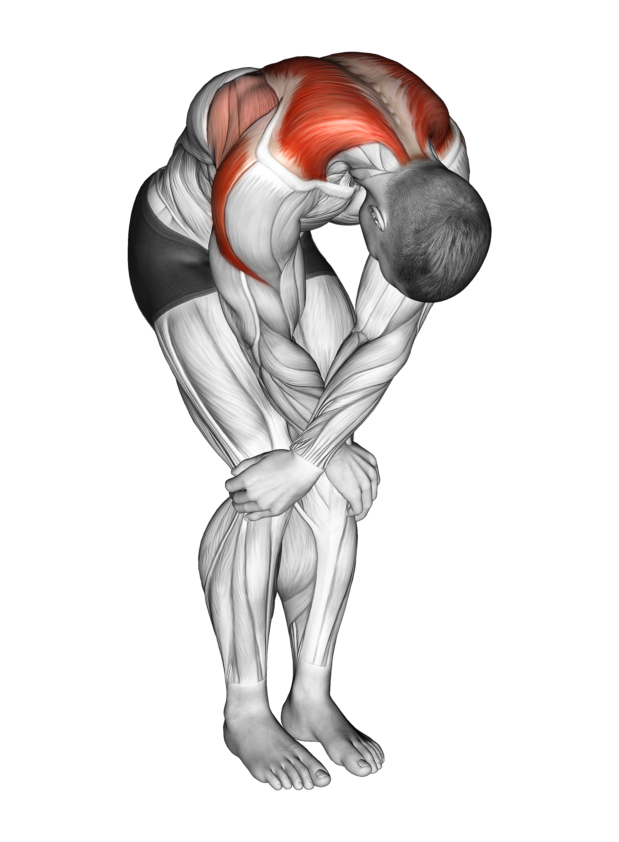 Cross Over Shoulder Stretch