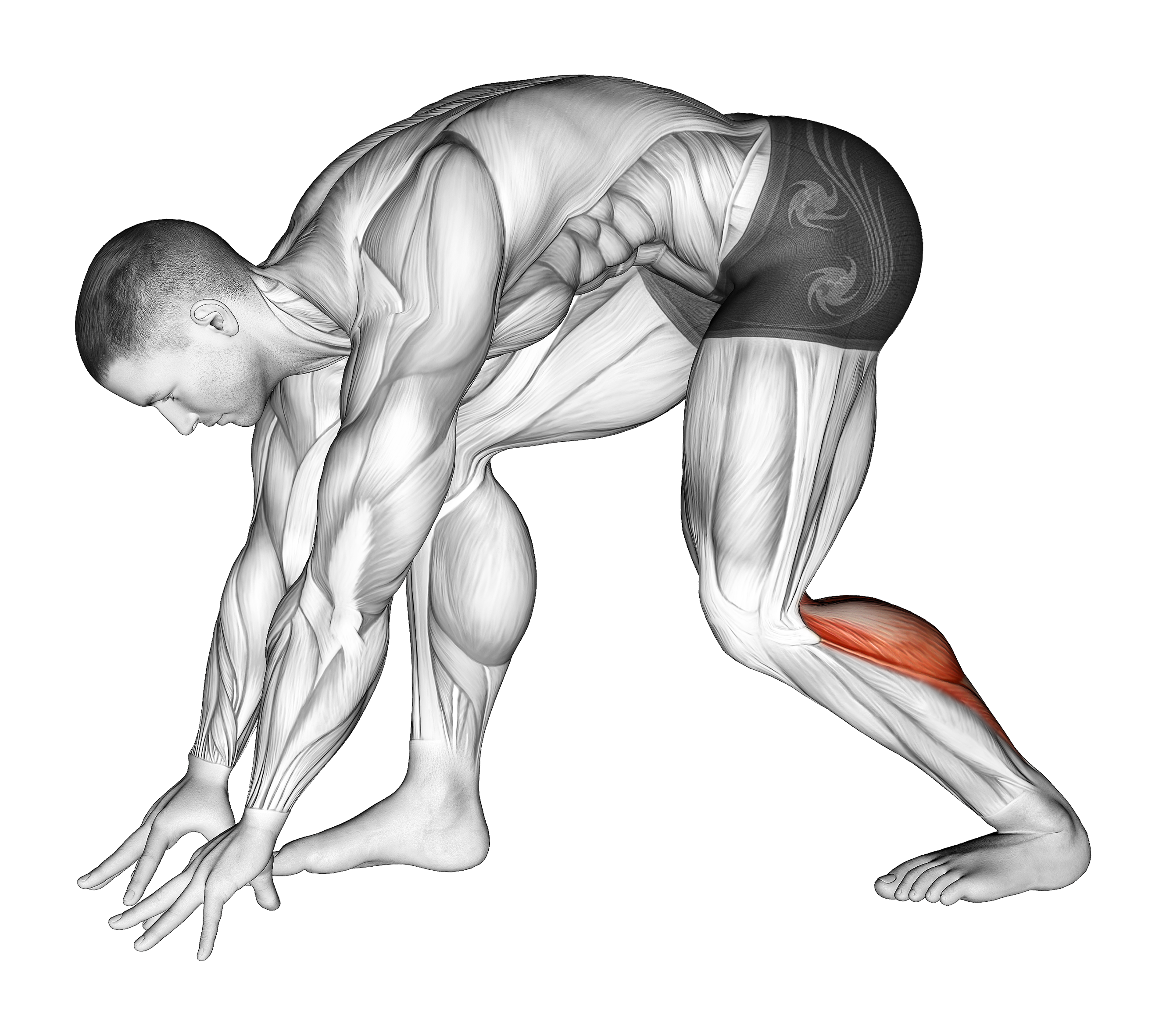 Crouching Heel Back Achilles Stretch