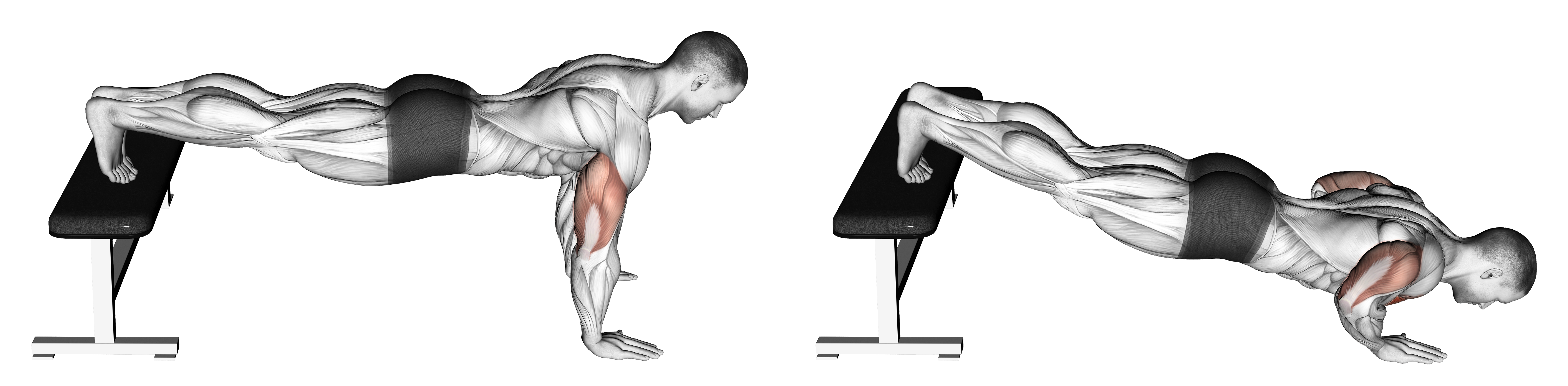 Decline Push Up M