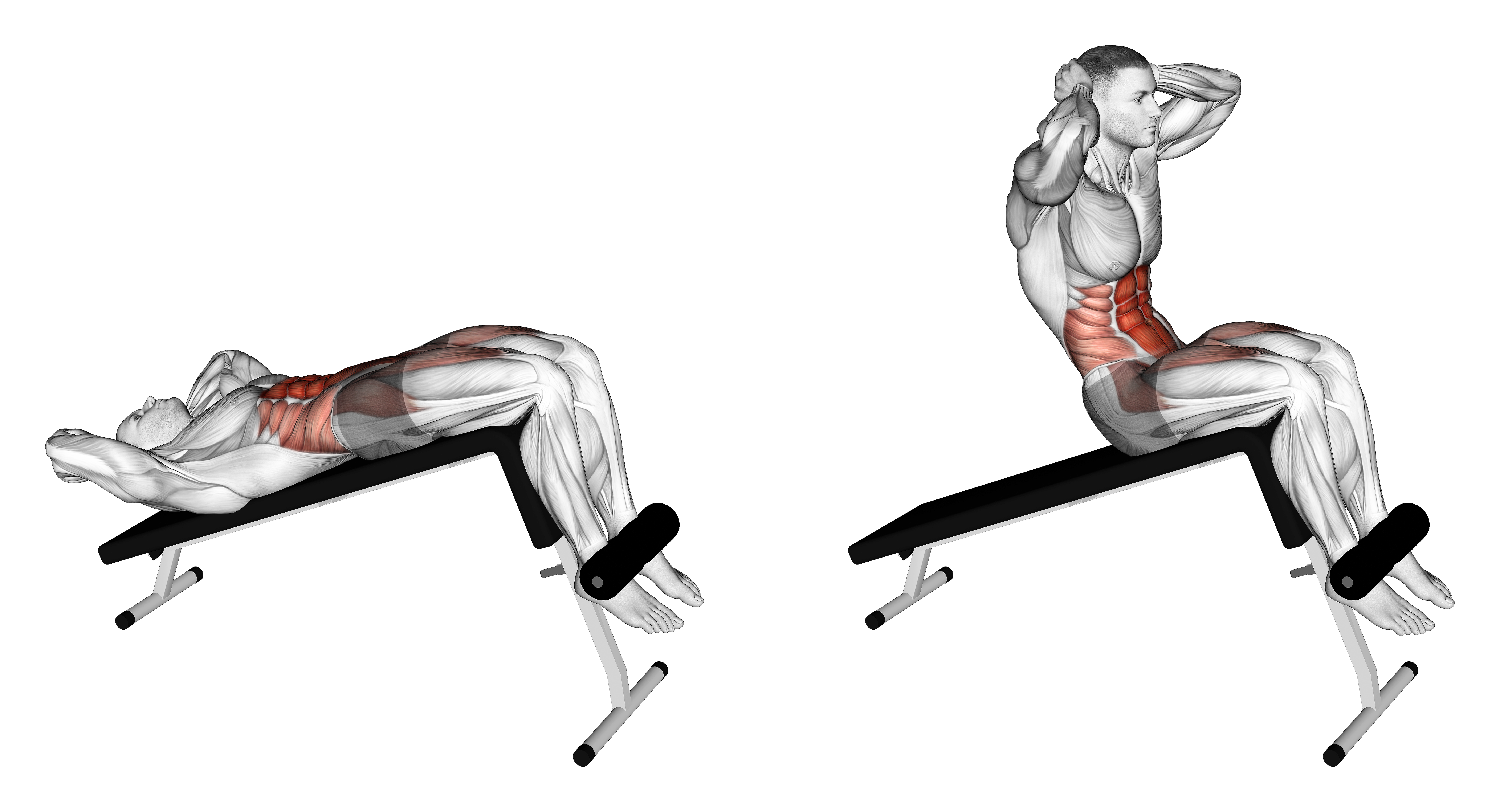 Decline Sit Up
