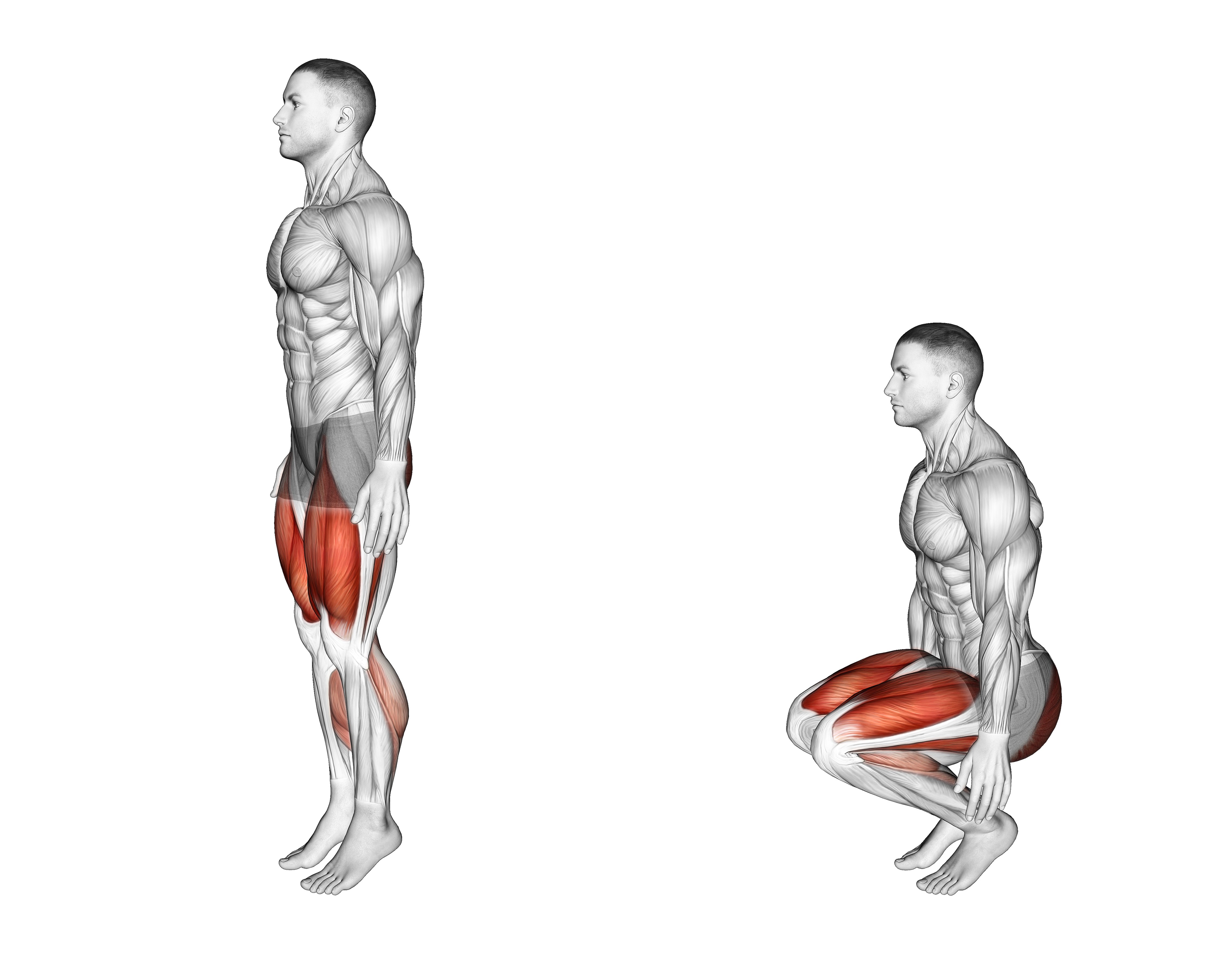 Deep Knee Bend