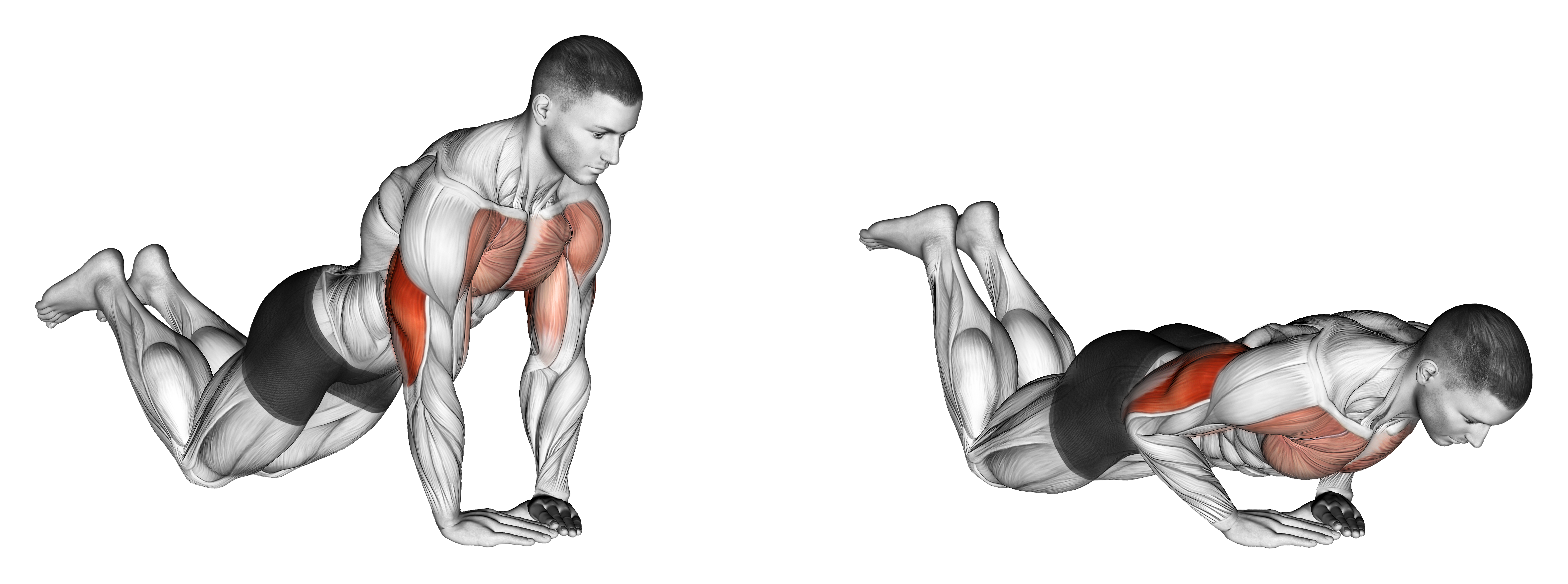 Diamond Push Up (on Knees)
