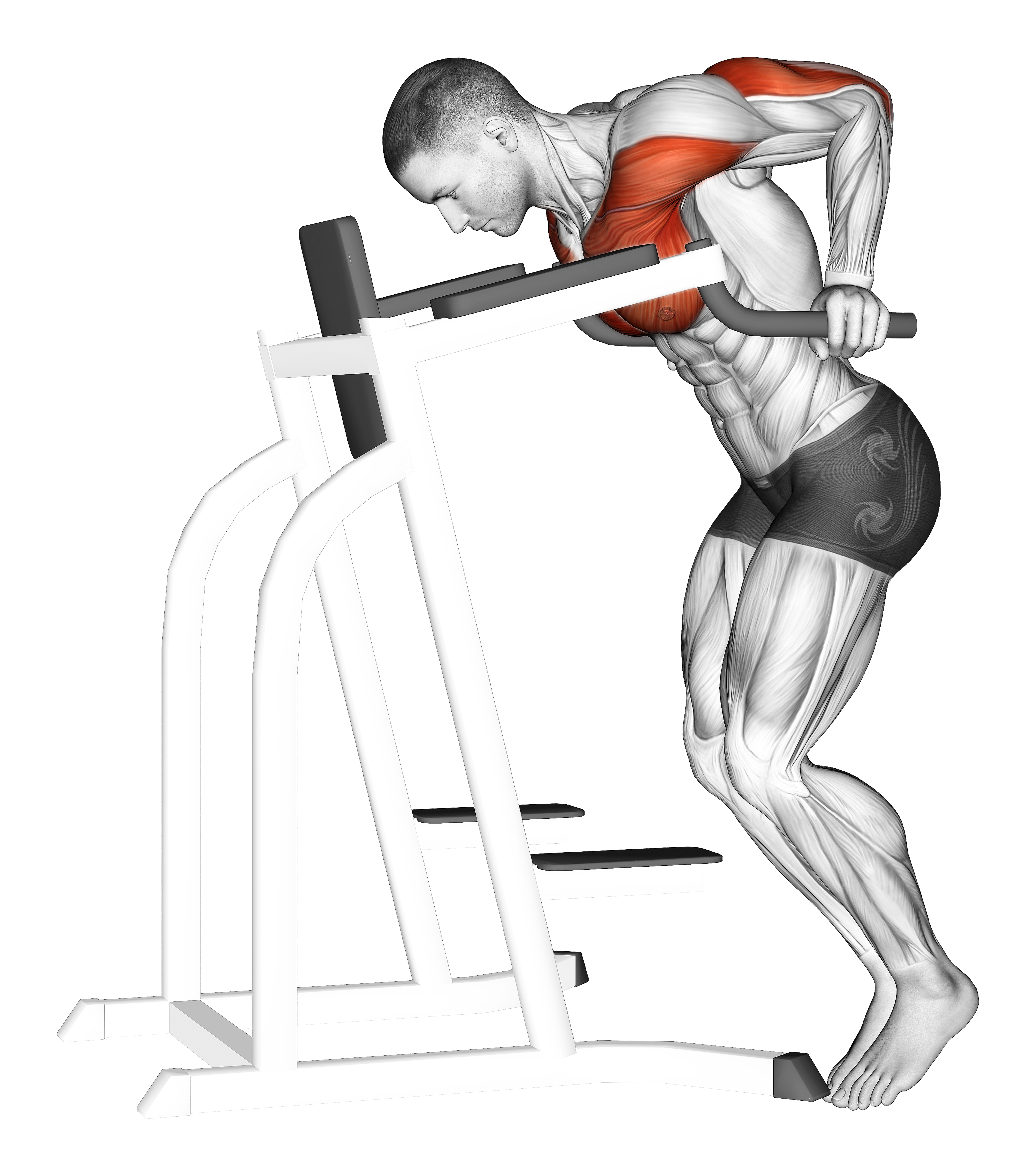 Dip Hold