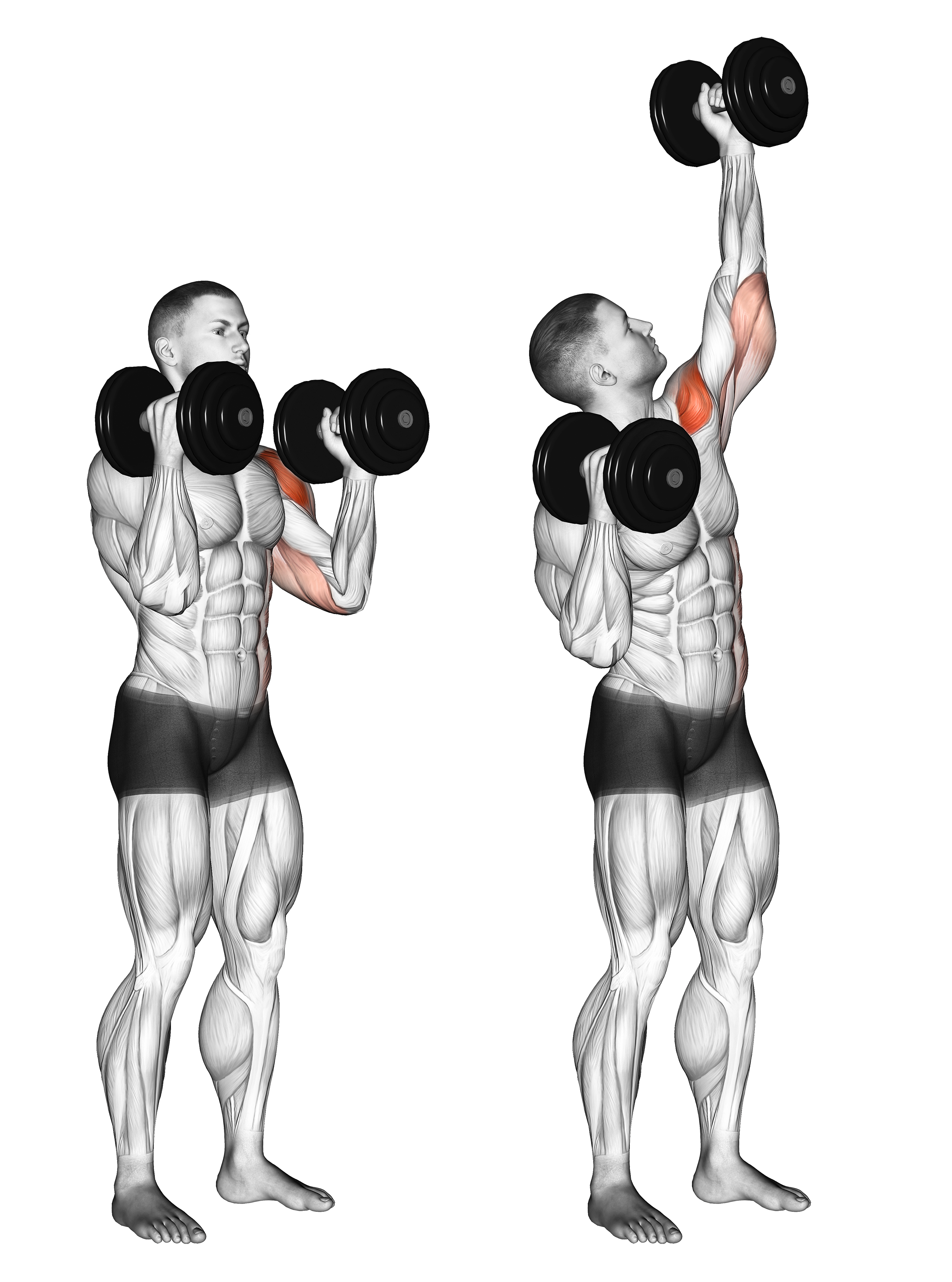 Dumbbell Alternate Side Press