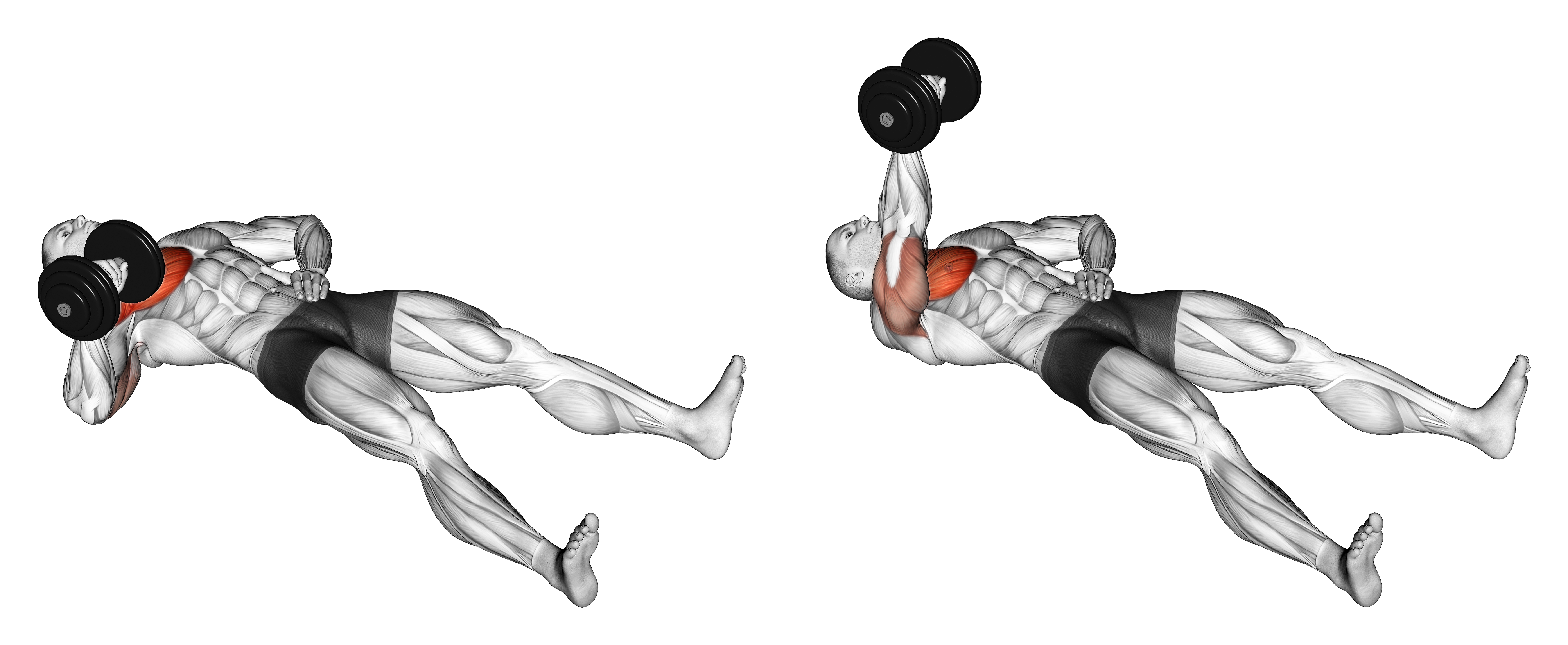 Dumbbell Alternating Floor Press