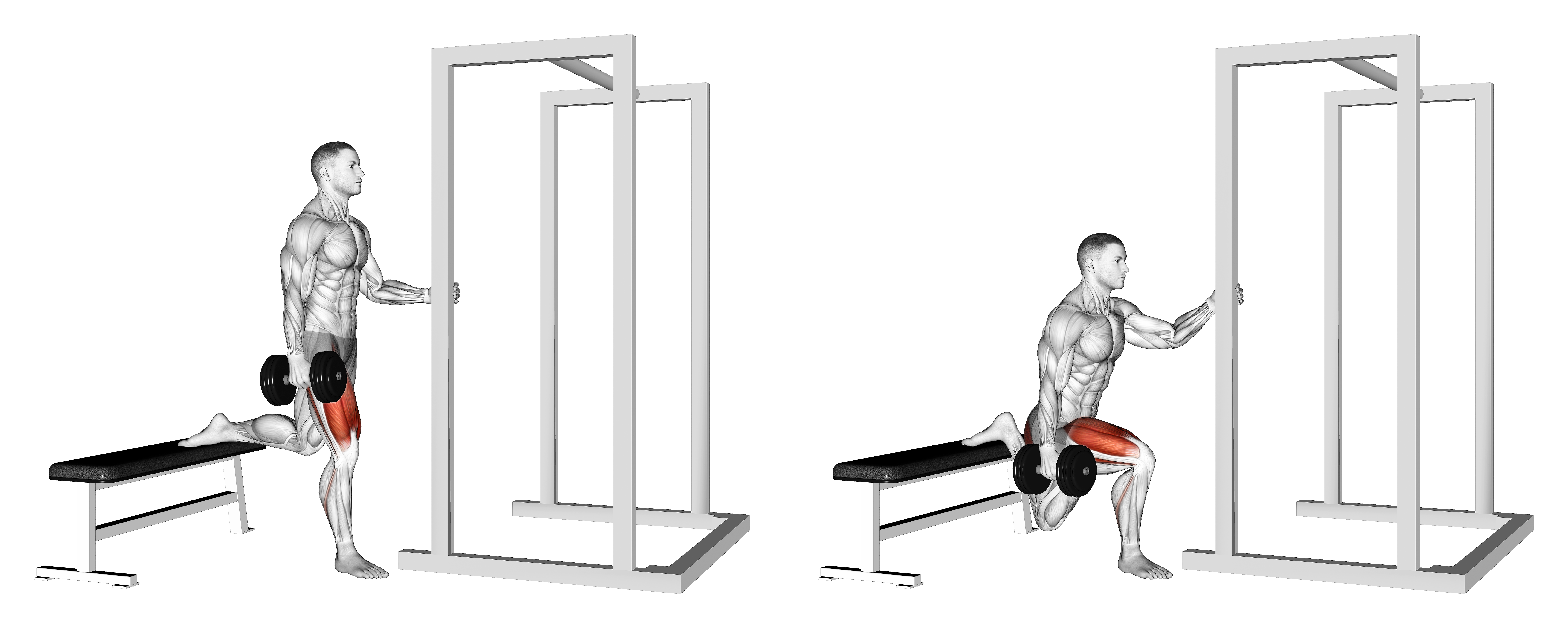 Dumbbell Assisted Bulgarian Split Squat