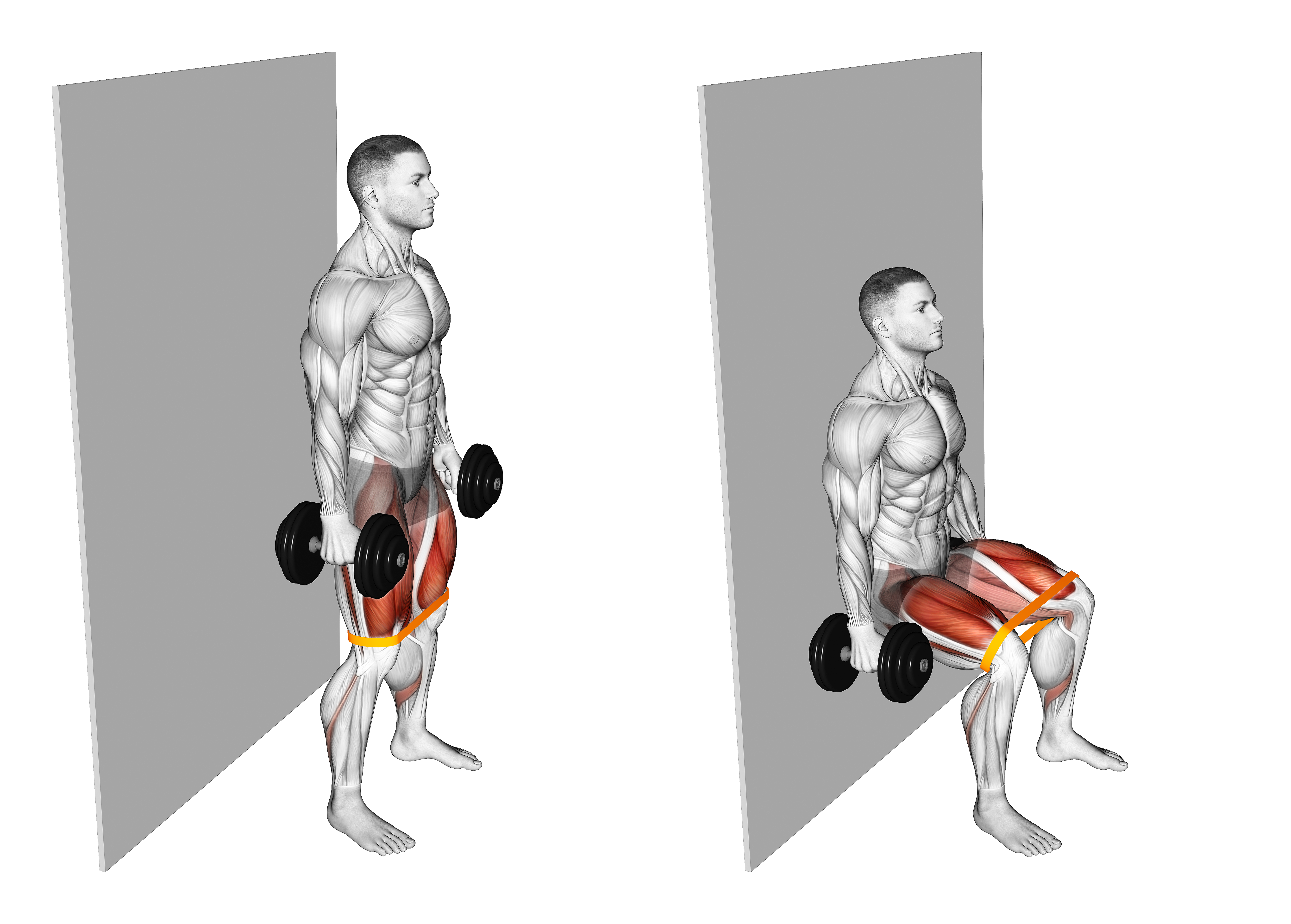Dumbbell Banded Wall Sit