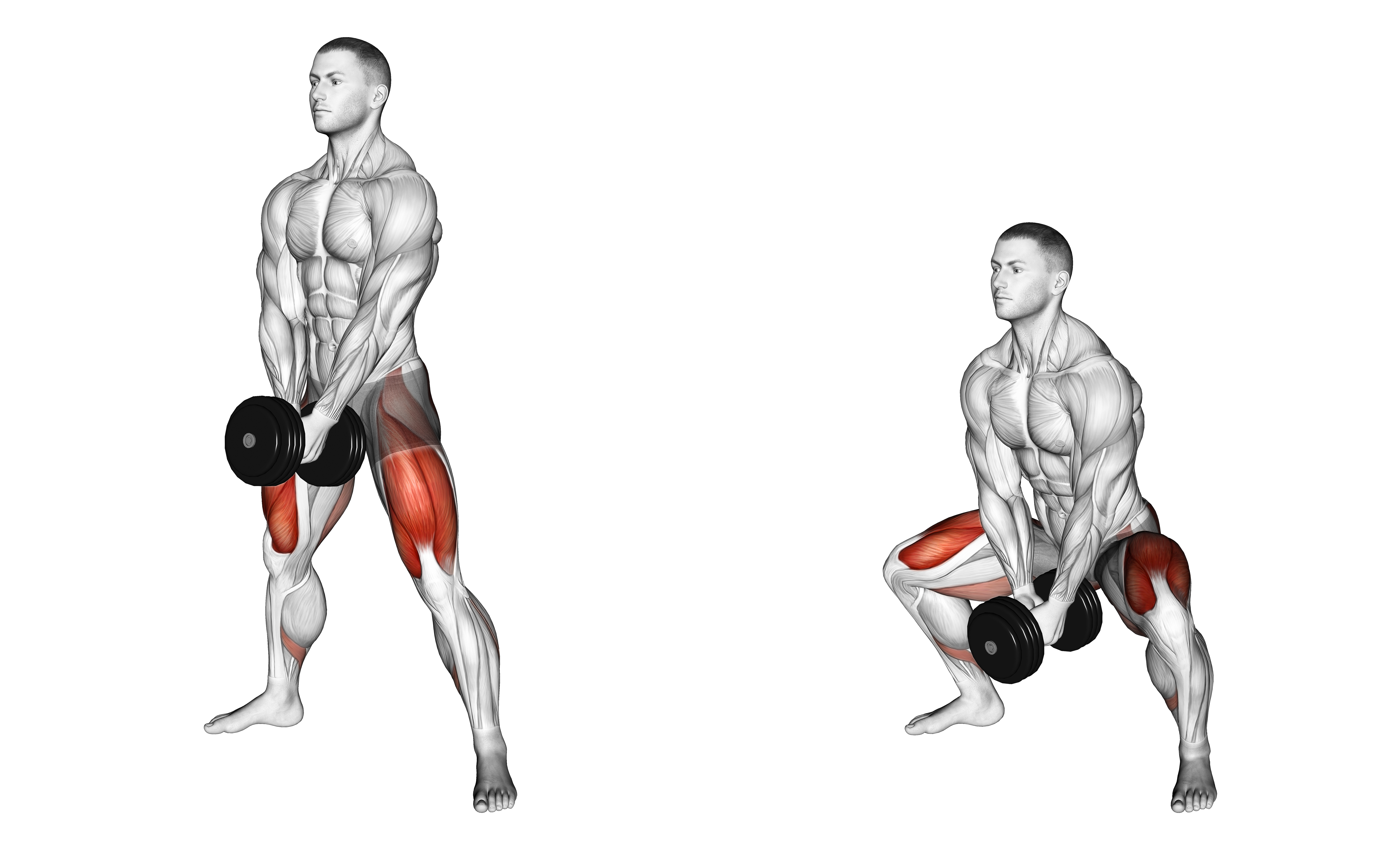 Dumbbell Bar Grip Sumo Squat