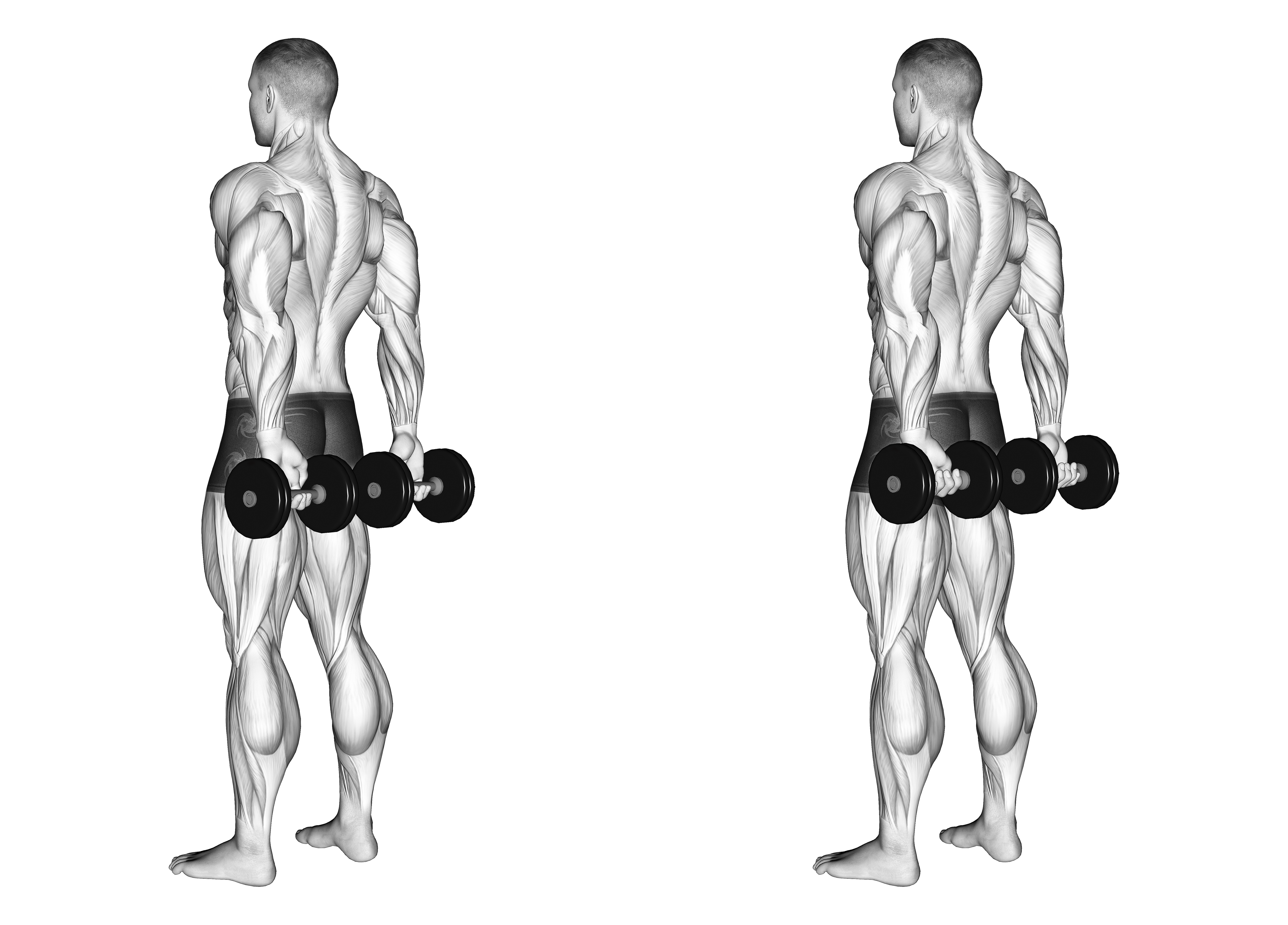 Dumbbell Behind Back Finger Curl