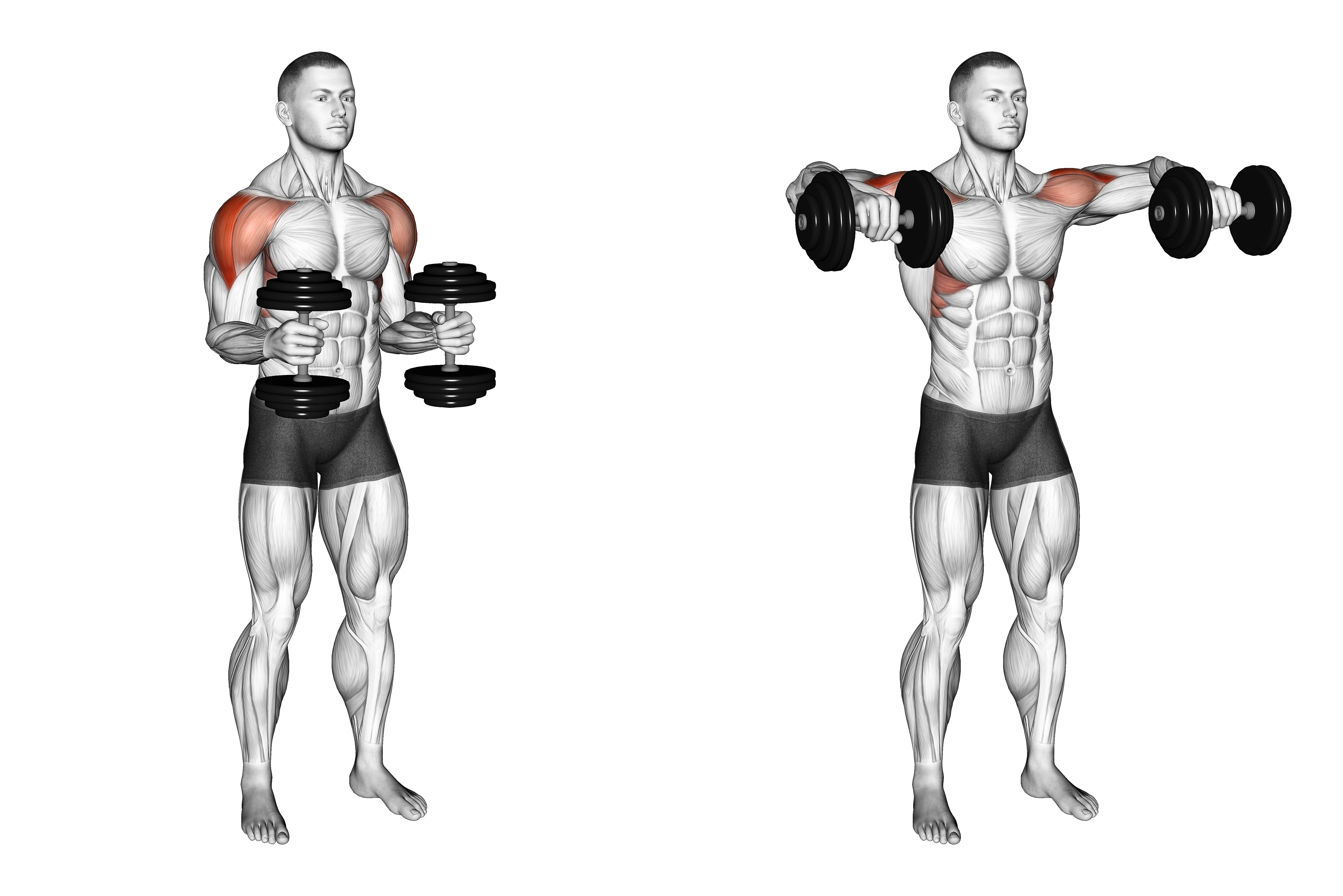 Dumbbell Bent Arm Laterl Raise