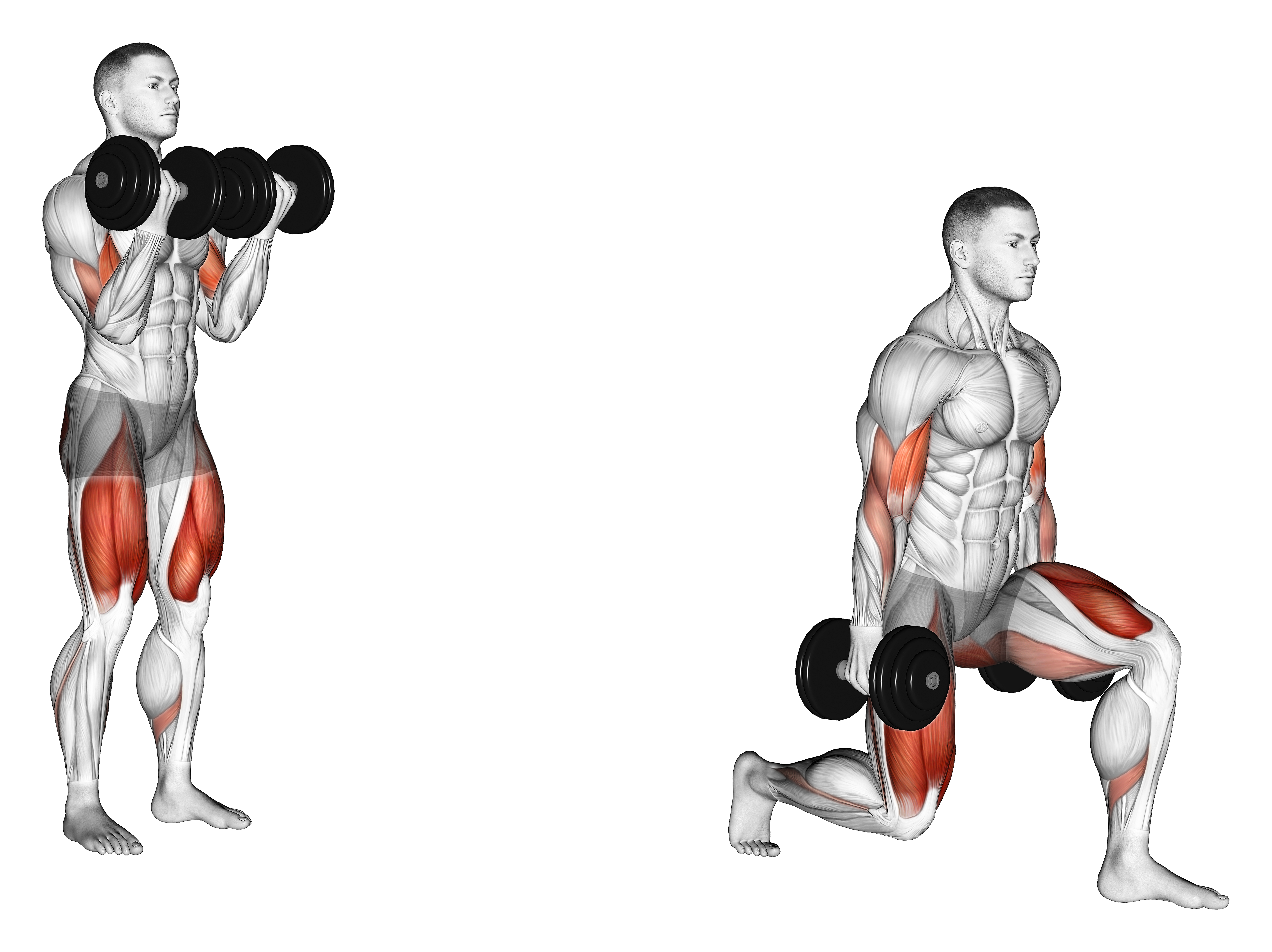 Dumbbell Bicep Curl Lunge With Bowling Motion