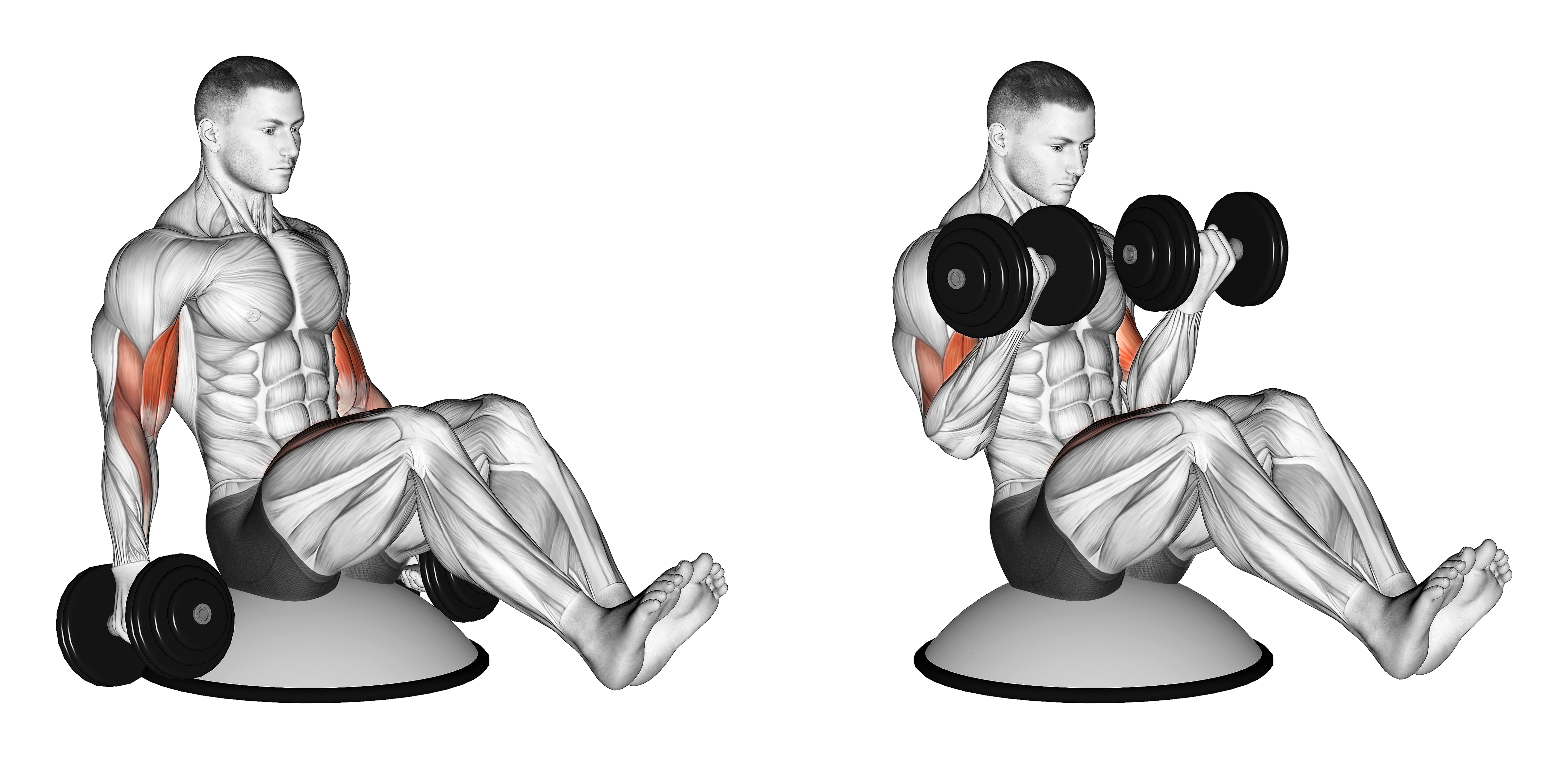 Dumbbell Biceps Curl V Sit On Bosu Ball