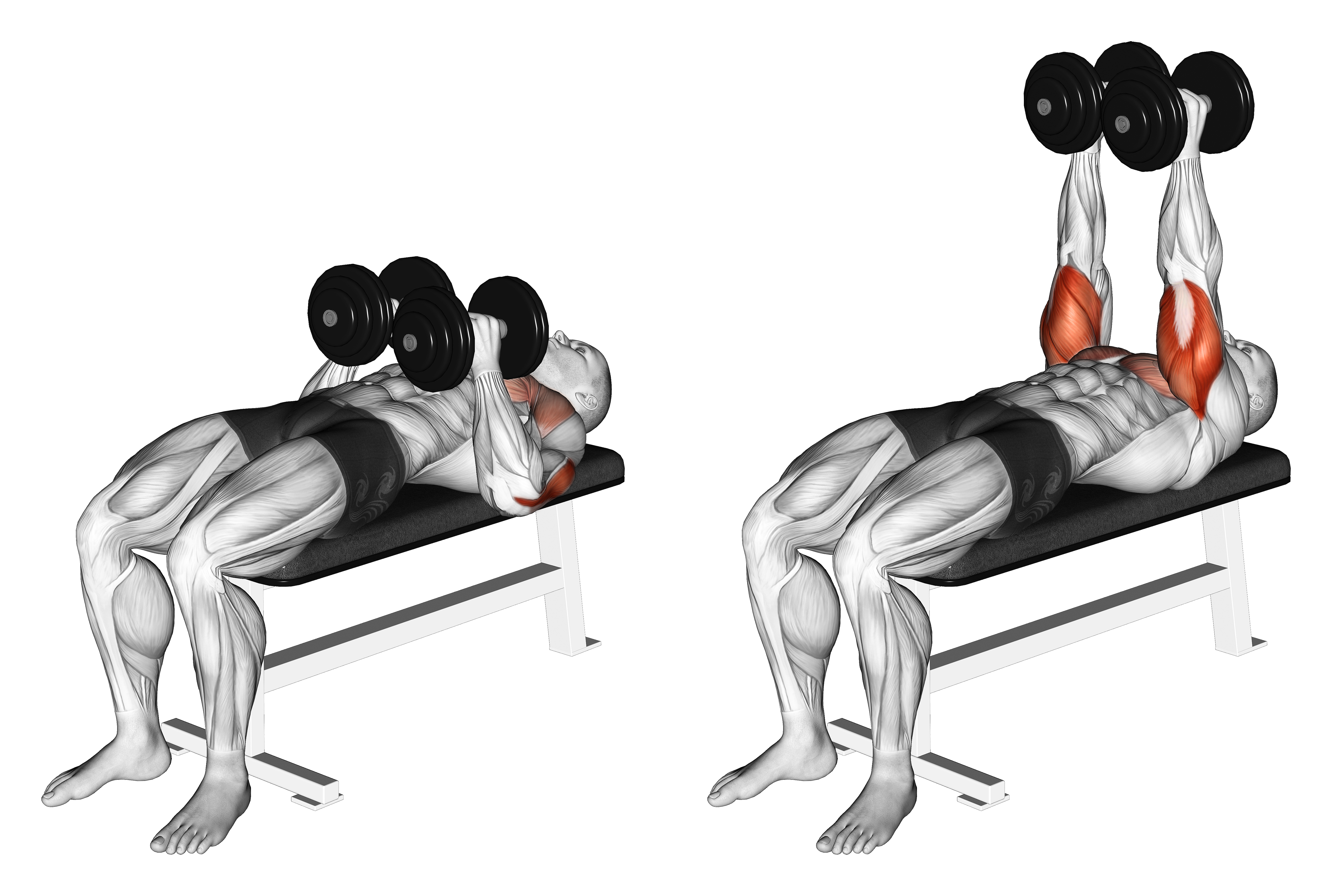 Dumbbell Close Grip Press