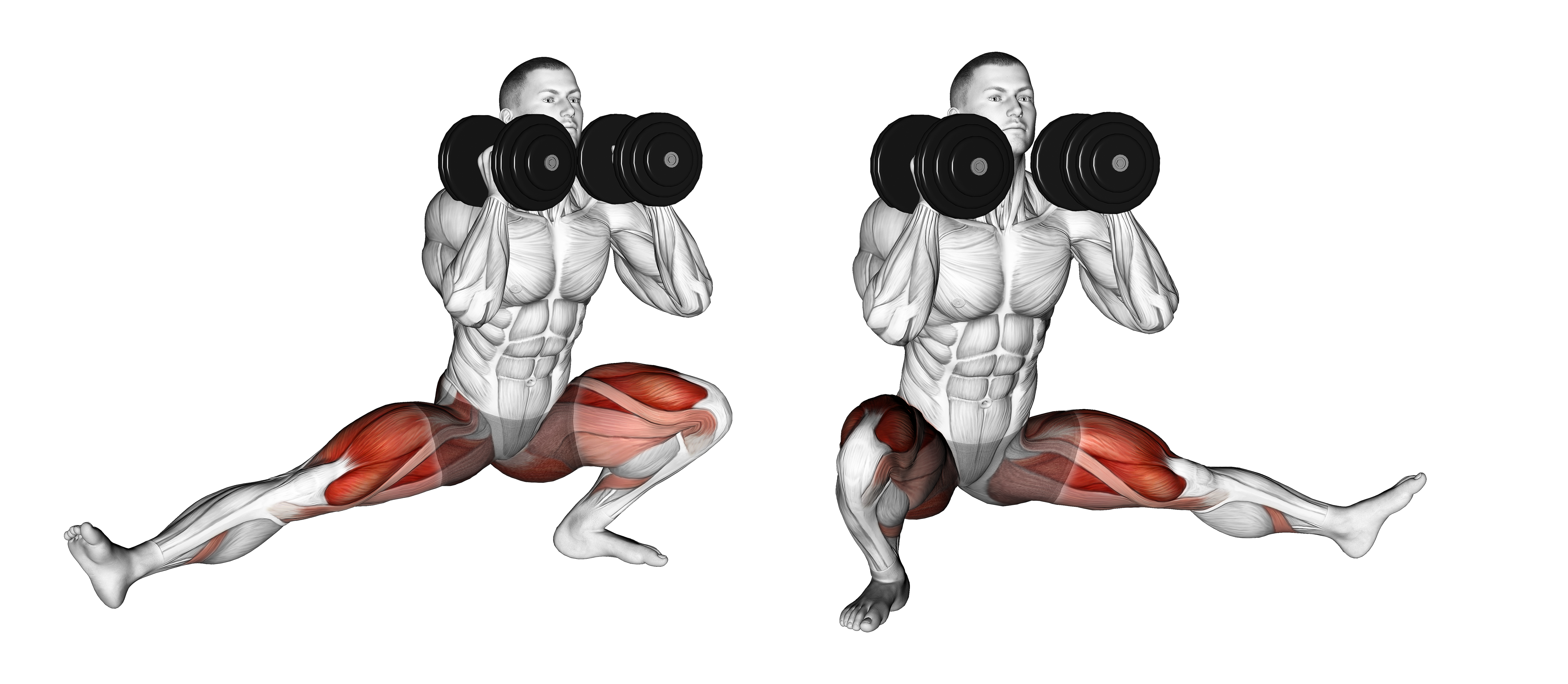 Dumbbell Cossack Squats