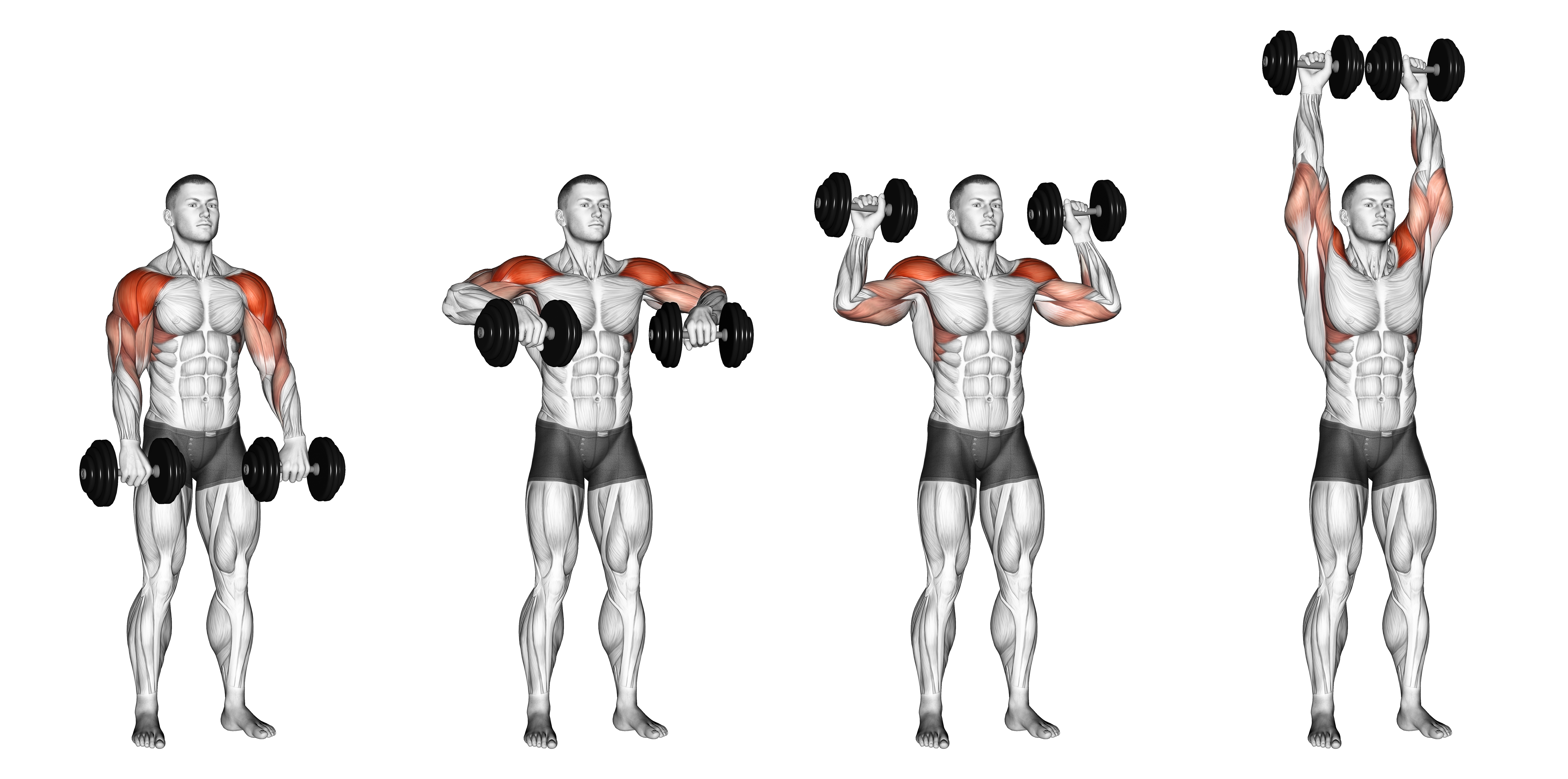 Dumbbell Cuban Press Version 2 