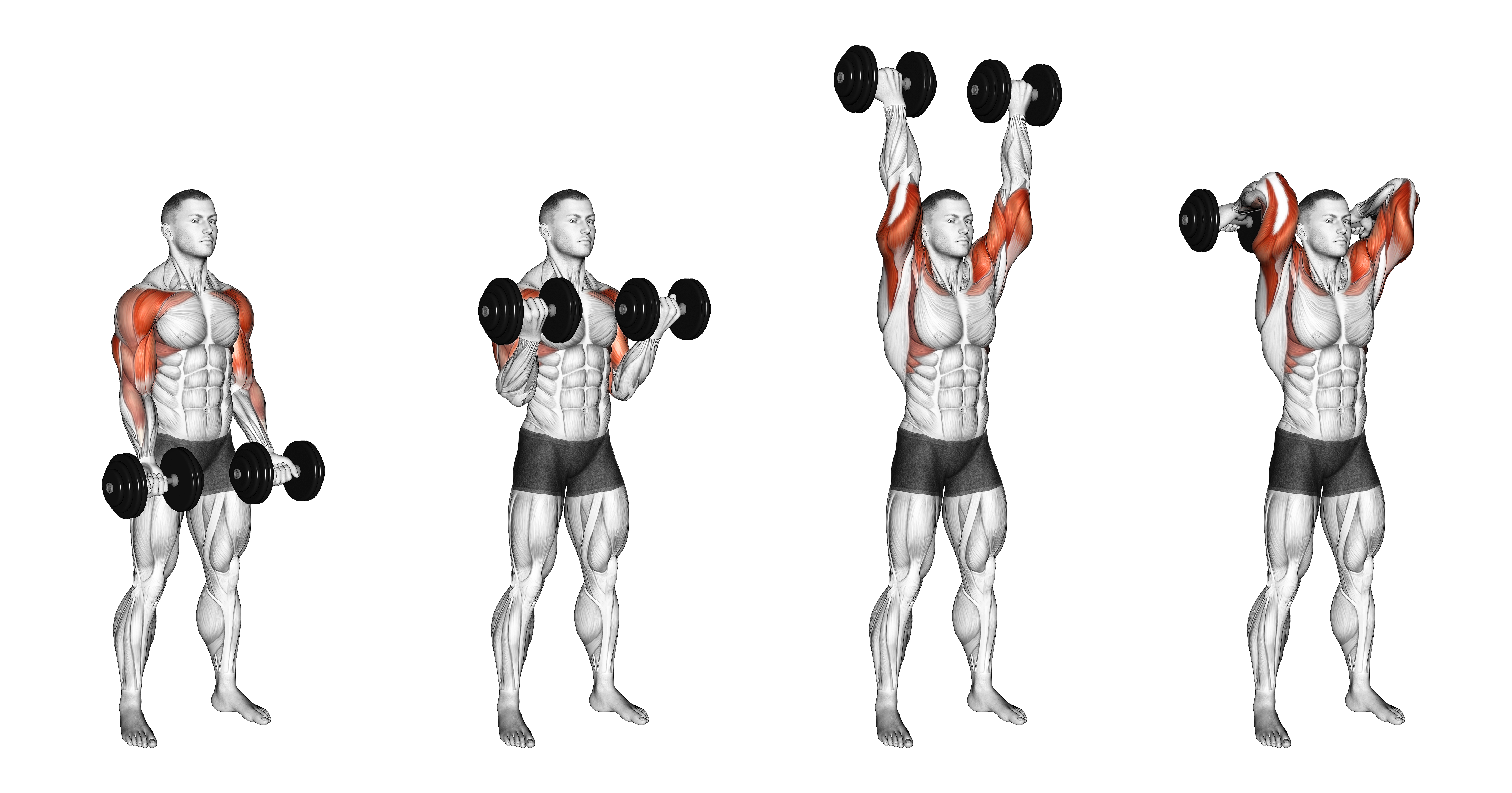 Dumbbell Curl Press Extension