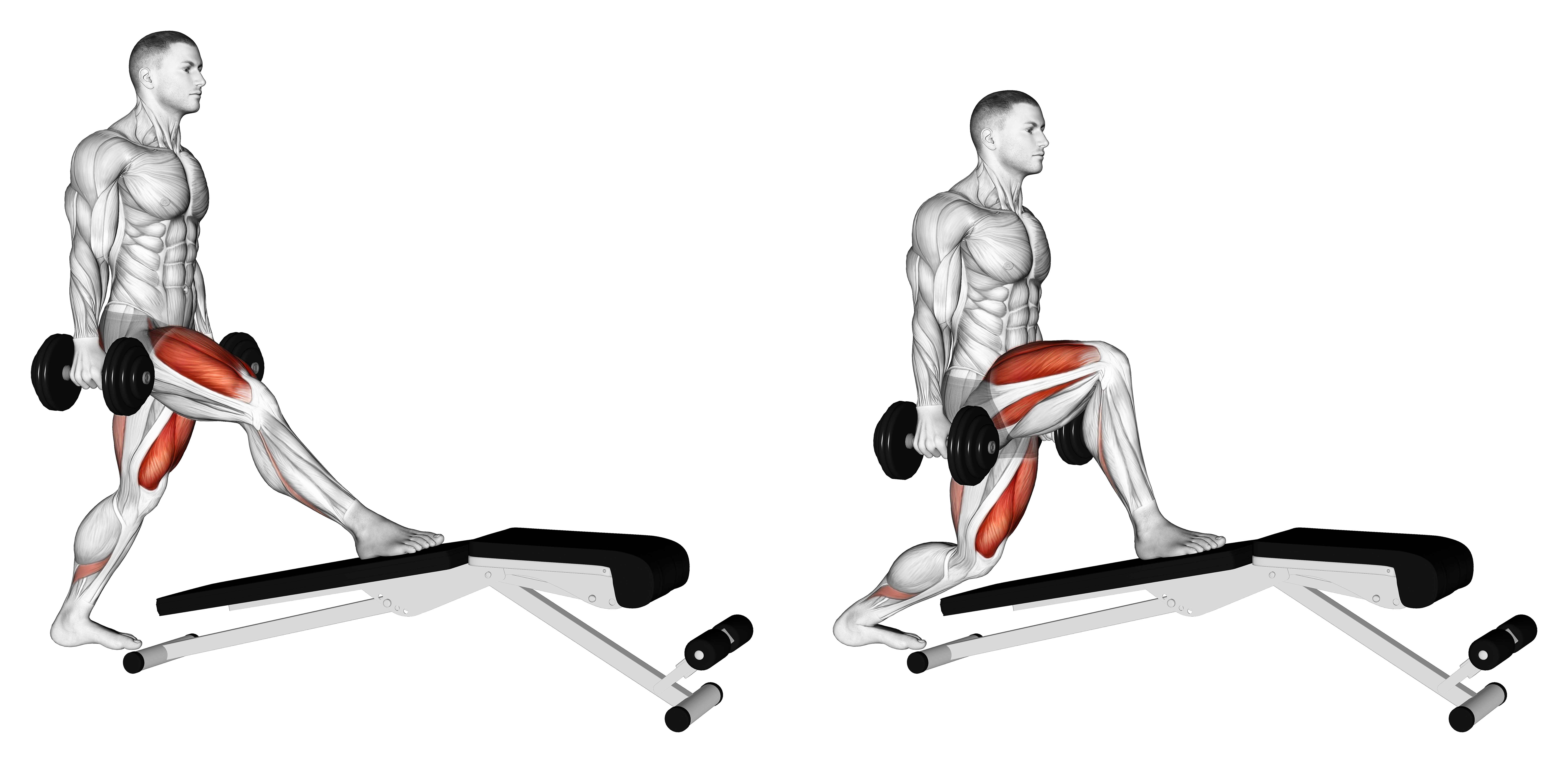 Dumbbell Decline Bench Lunge
