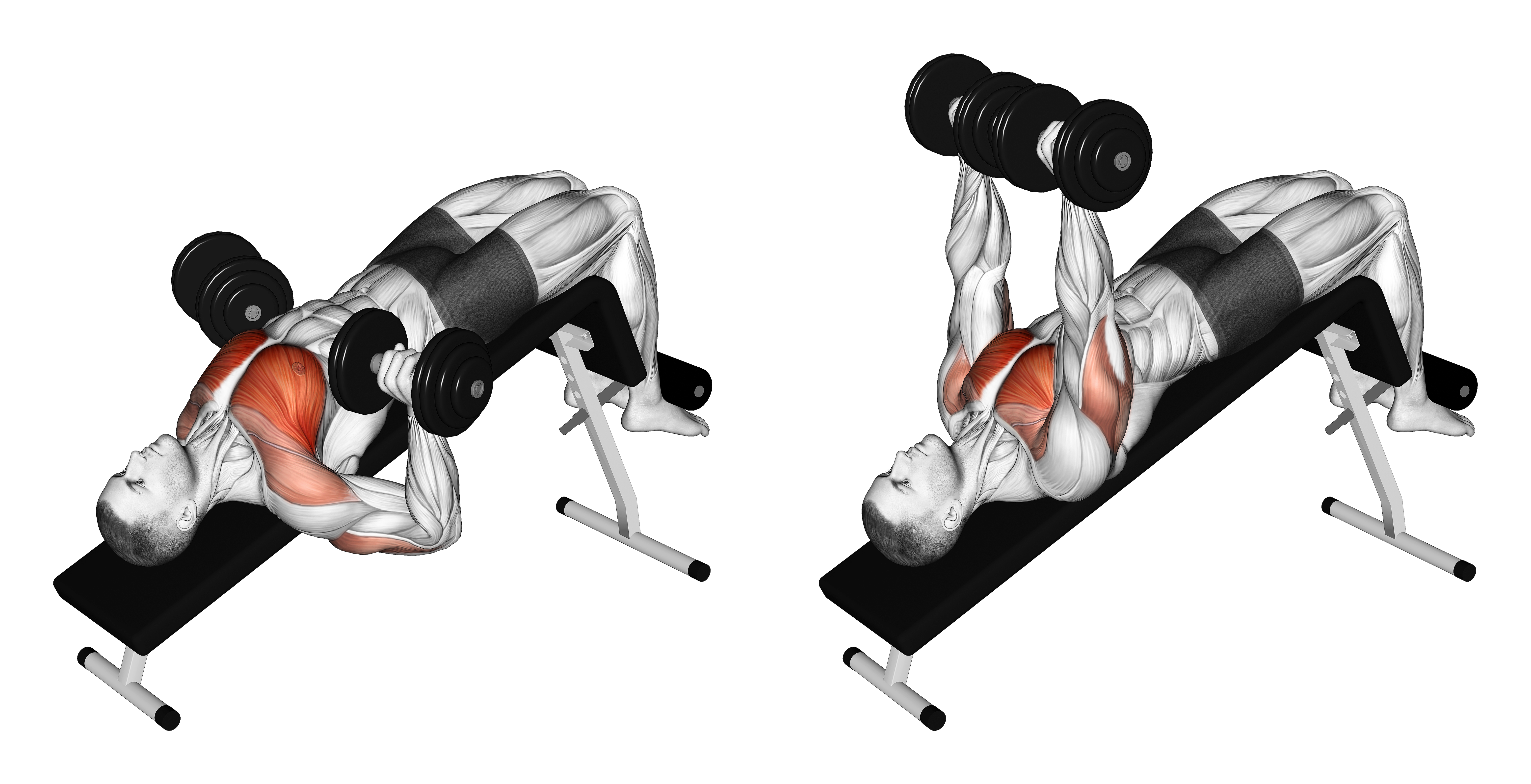 Dumbbell Decline Bench Press