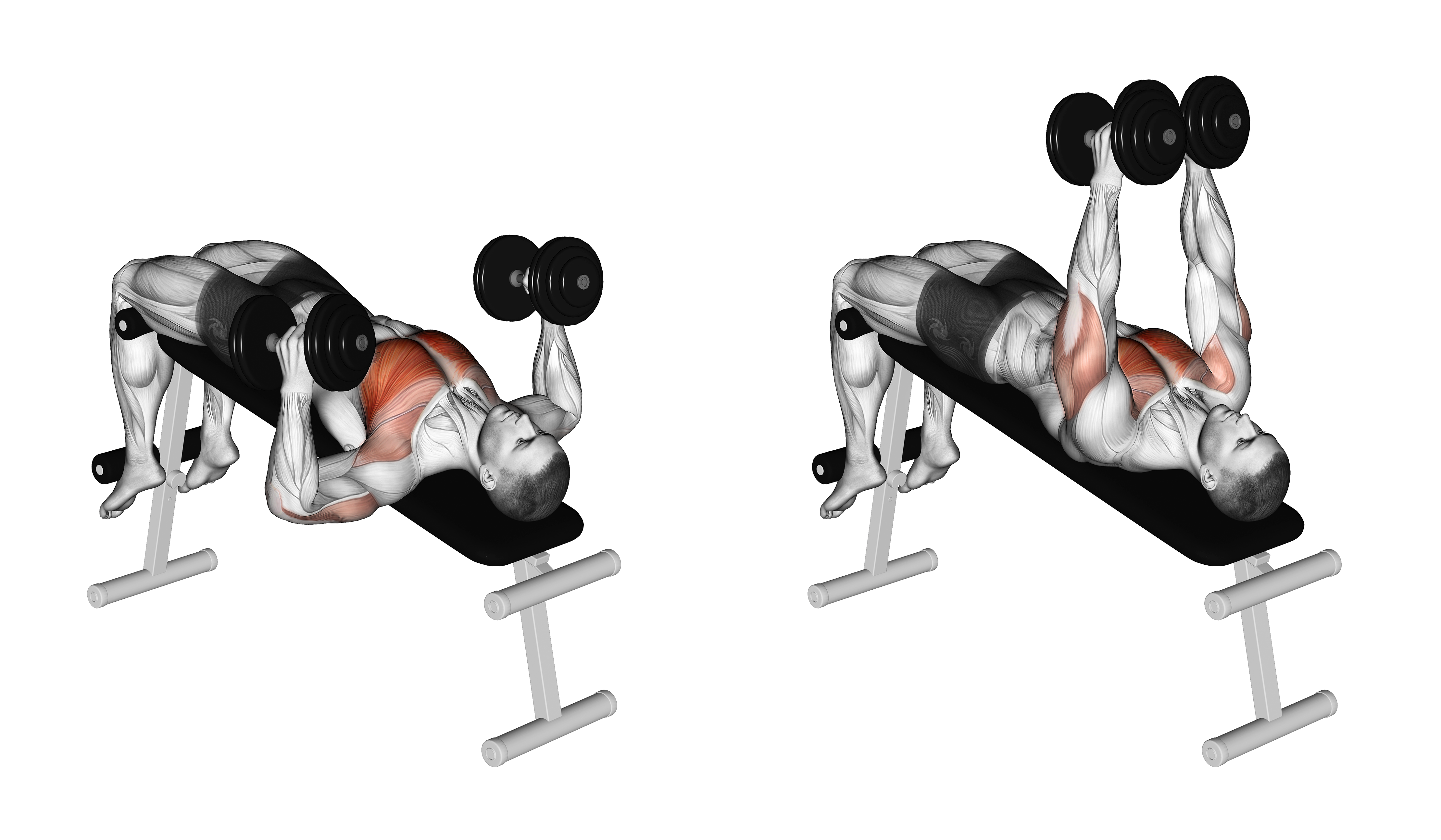 Dumbbell Decline Hammer Press