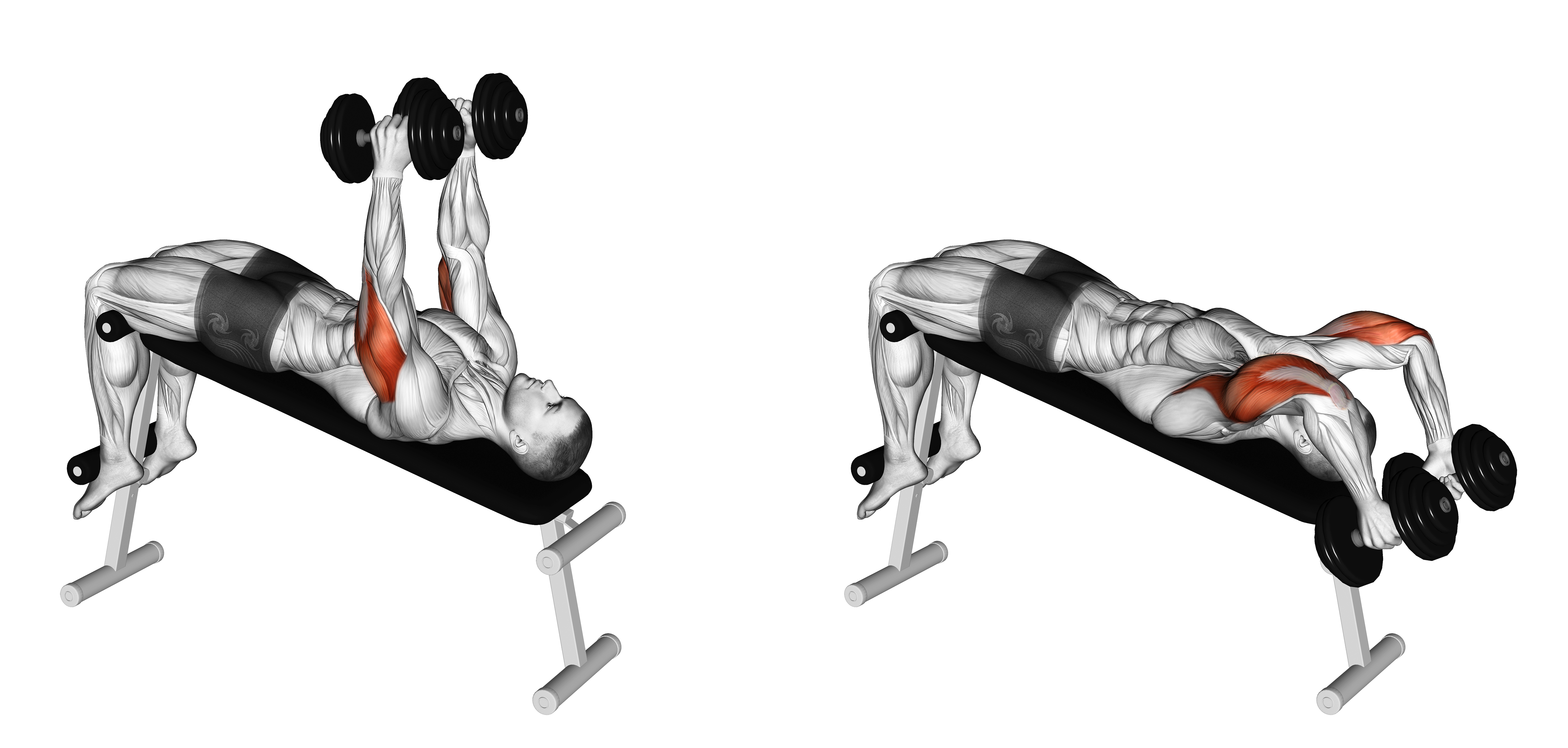 Dumbbell Decline Triceps Extension