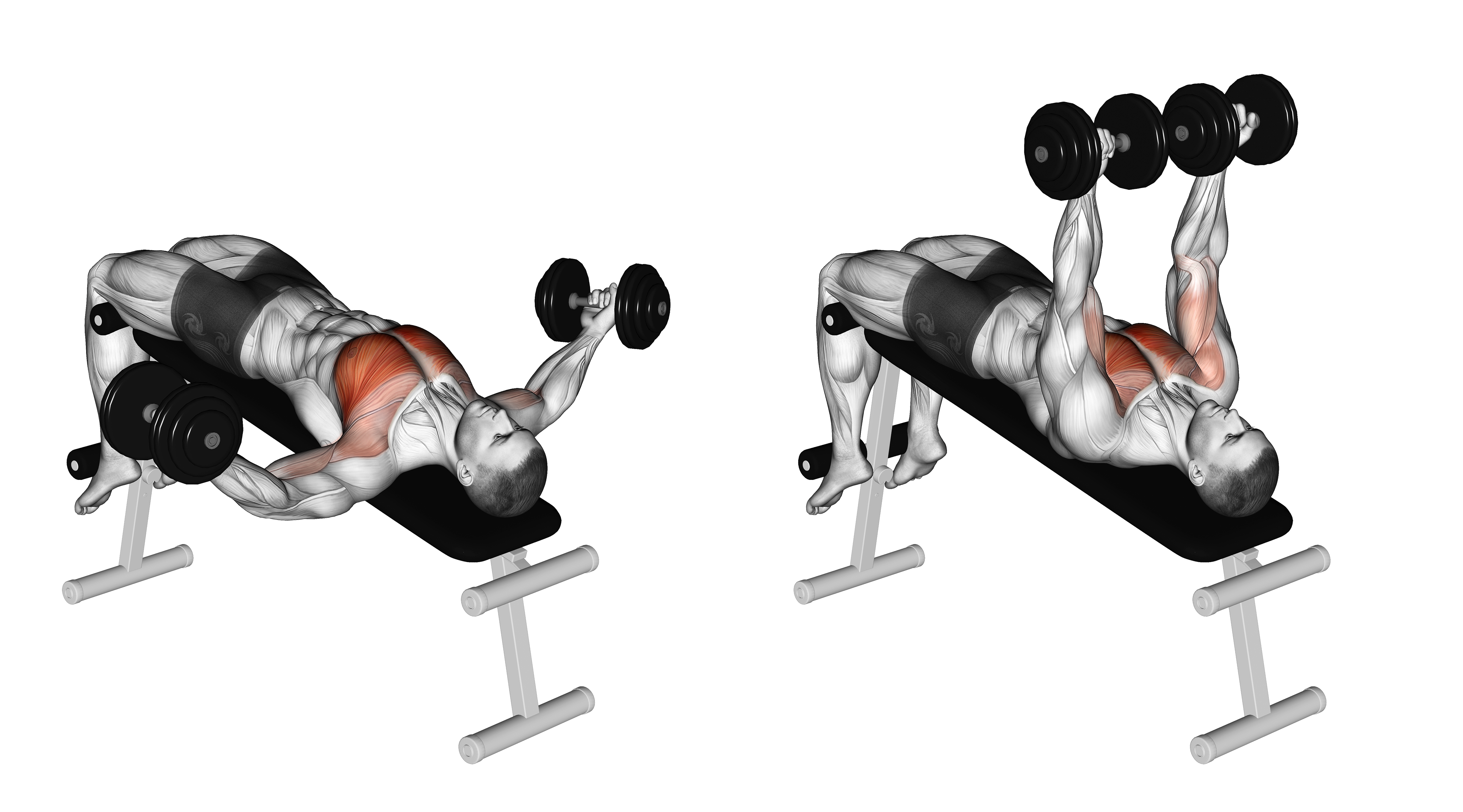 Dumbbell Decline Twist Fly
