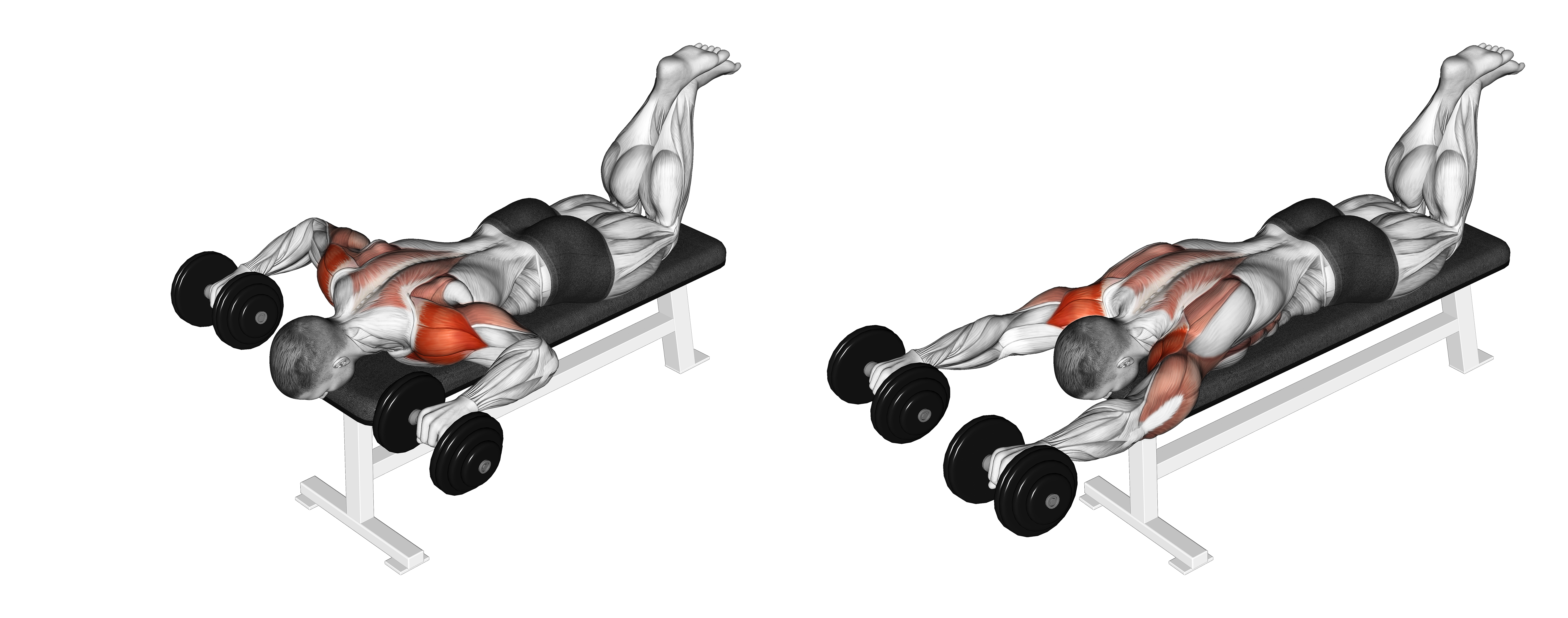 Dumbbell Face Down Lying Shoulder Press
