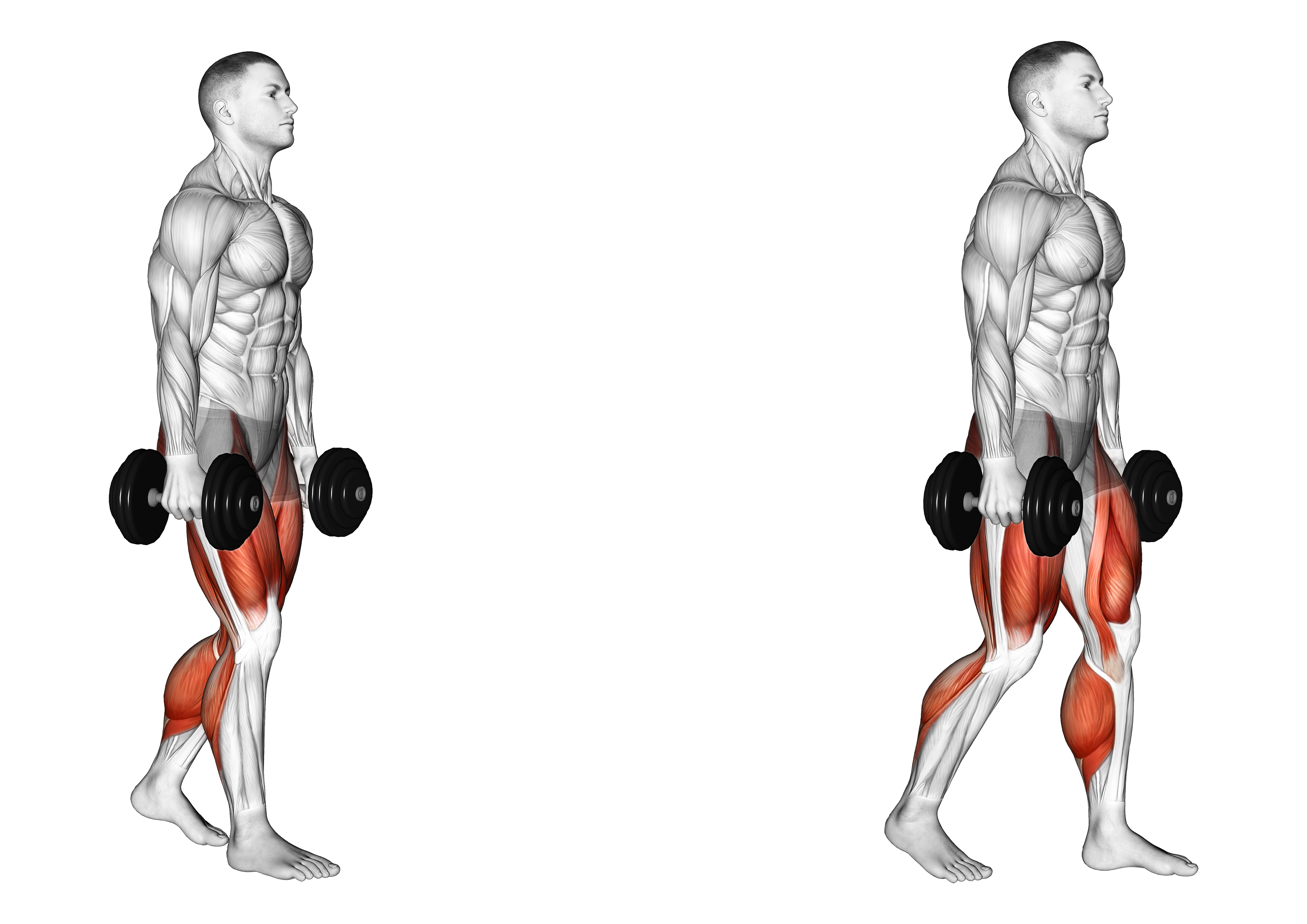 Dumbbell Farmers Carry