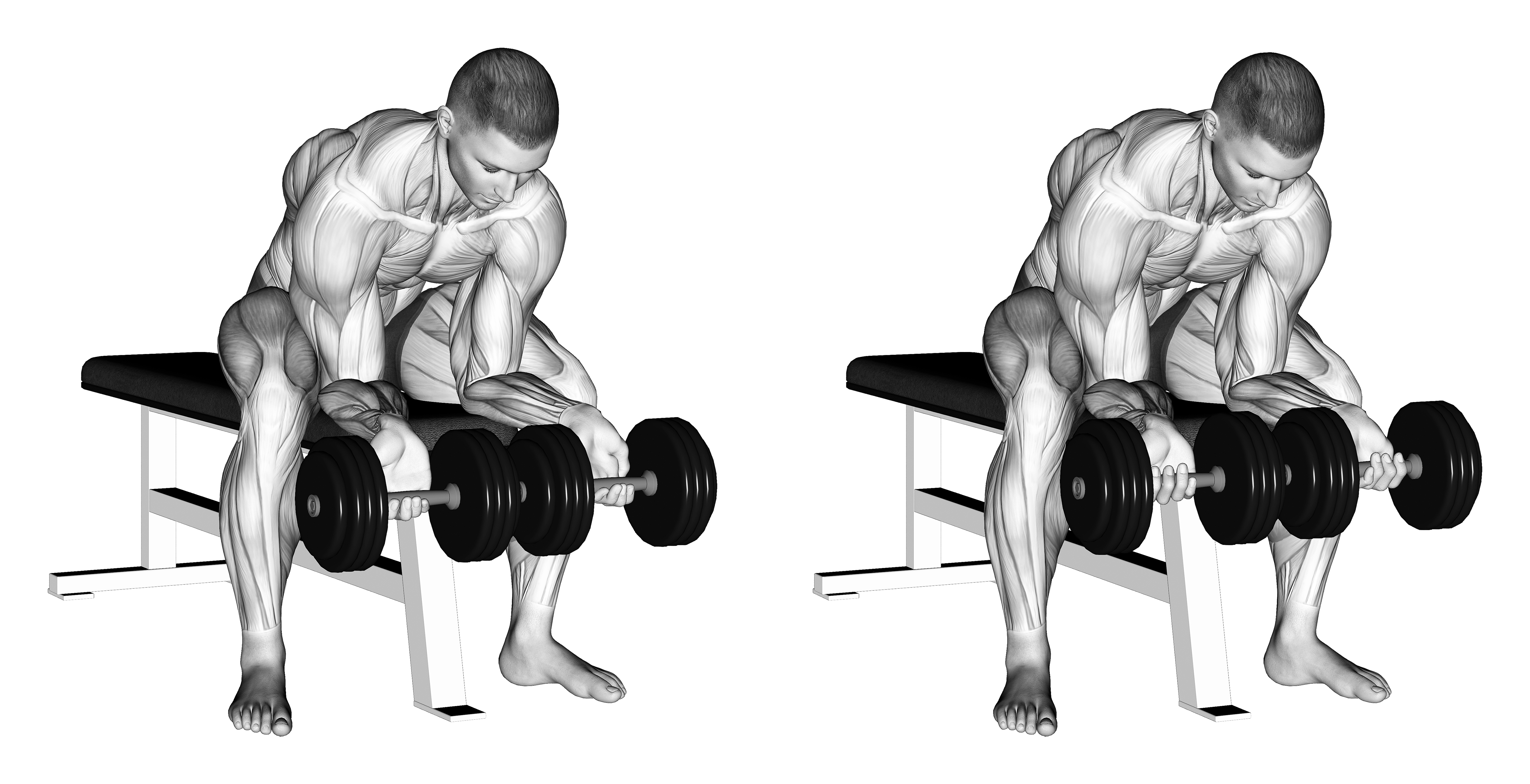 Dumbbell Finger Curls