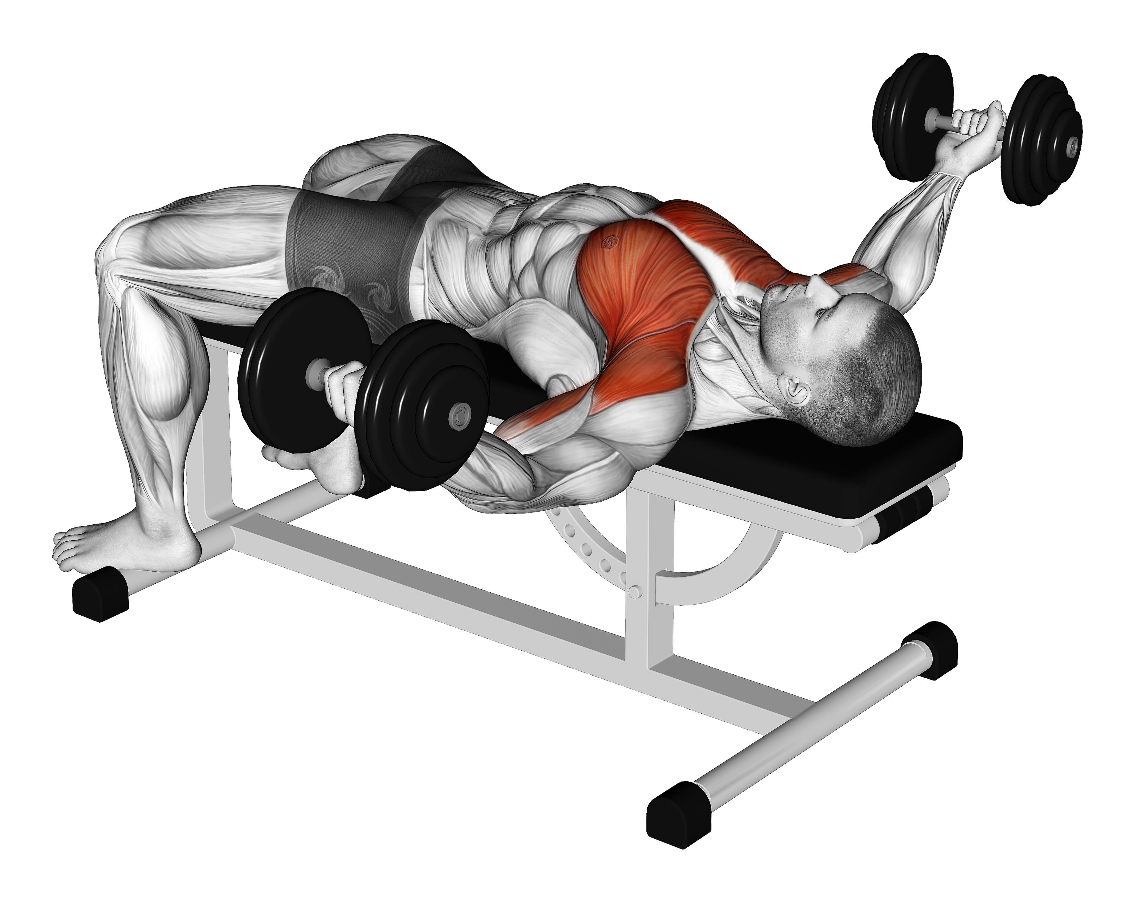 Dumbbell Flat Flye Hold