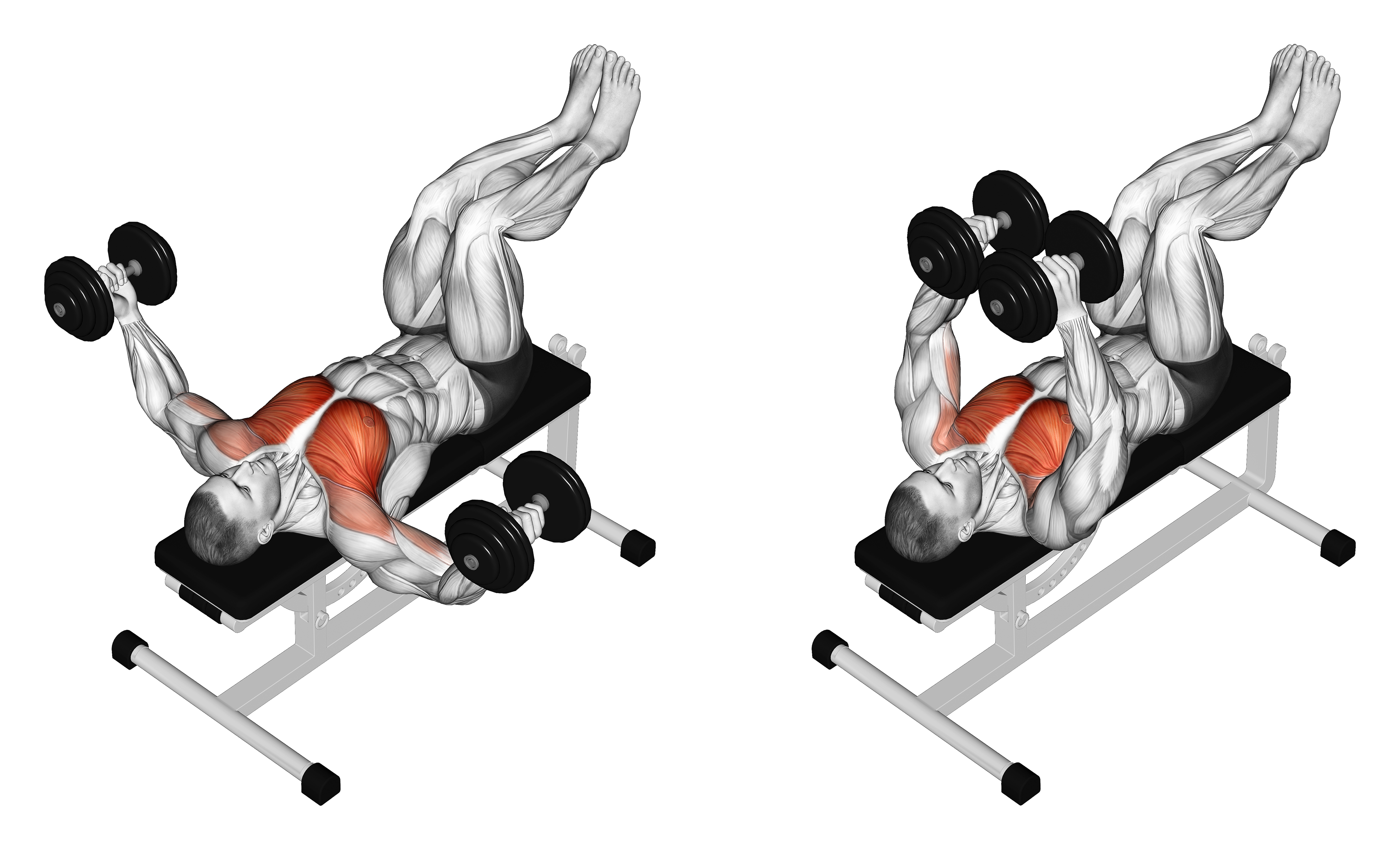 Dumbbell Fly (knees At 90 Degrees)