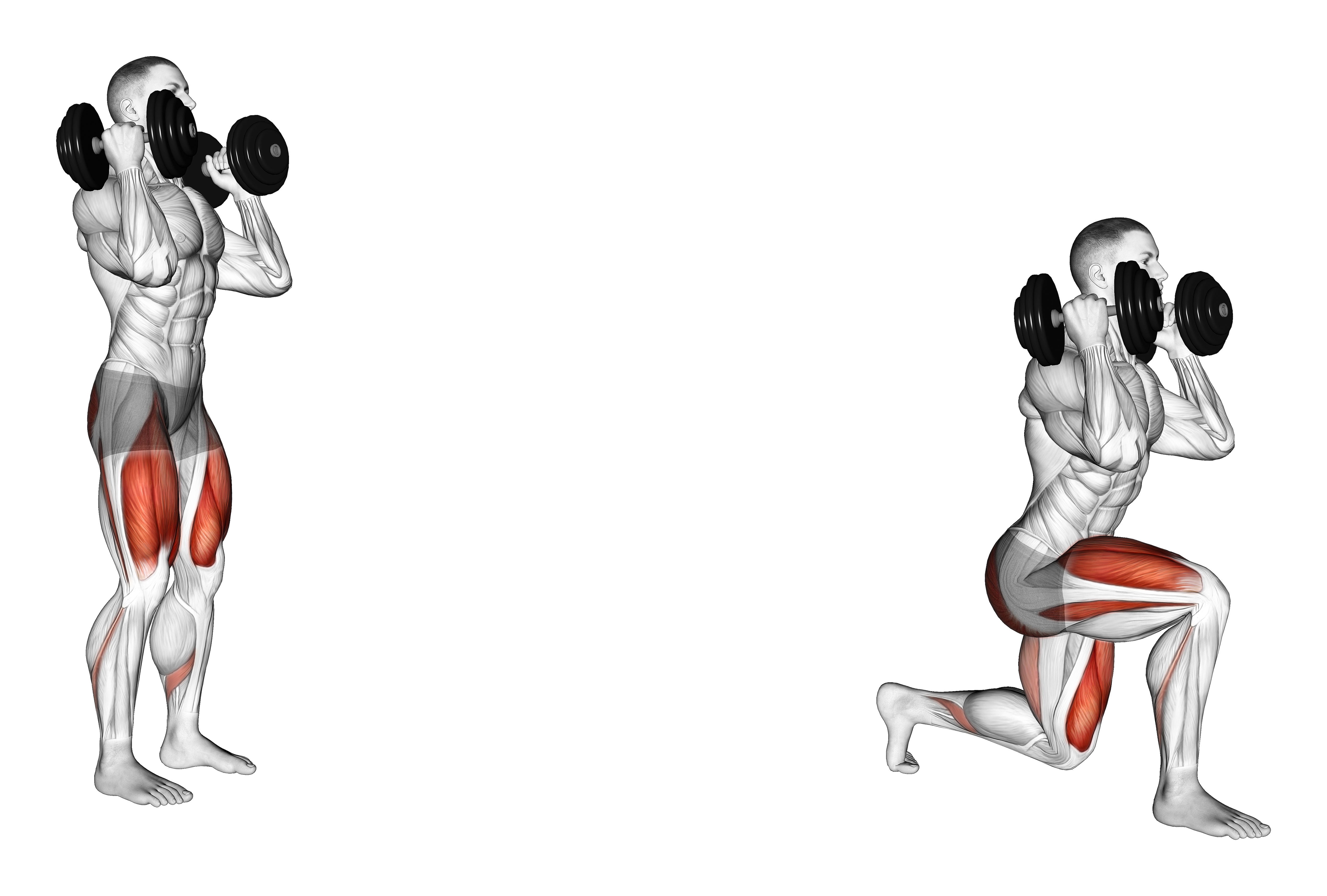 Dumbbell Front Rack Lunge