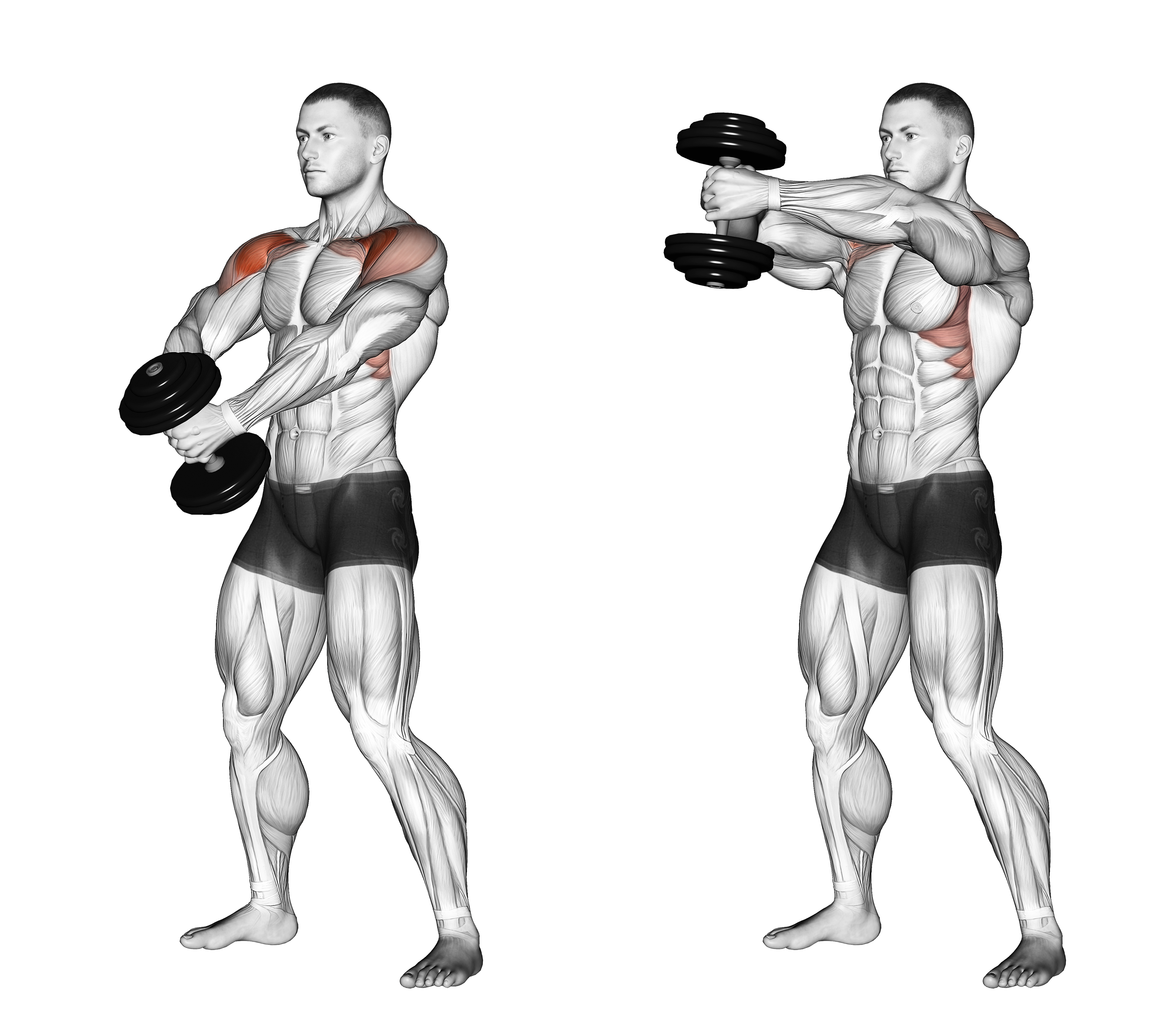 Dumbbell Front Raise Ii