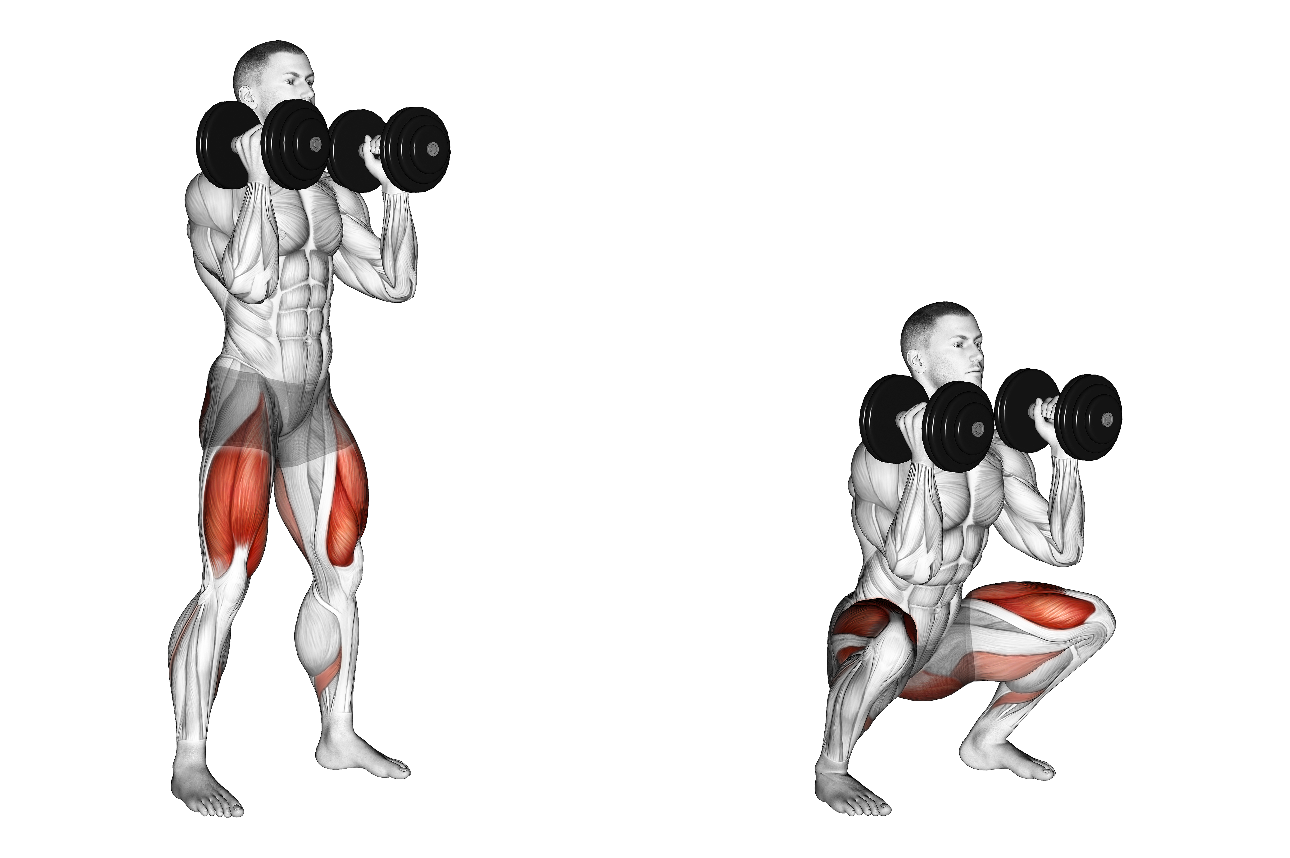 Dumbbell Front Squat