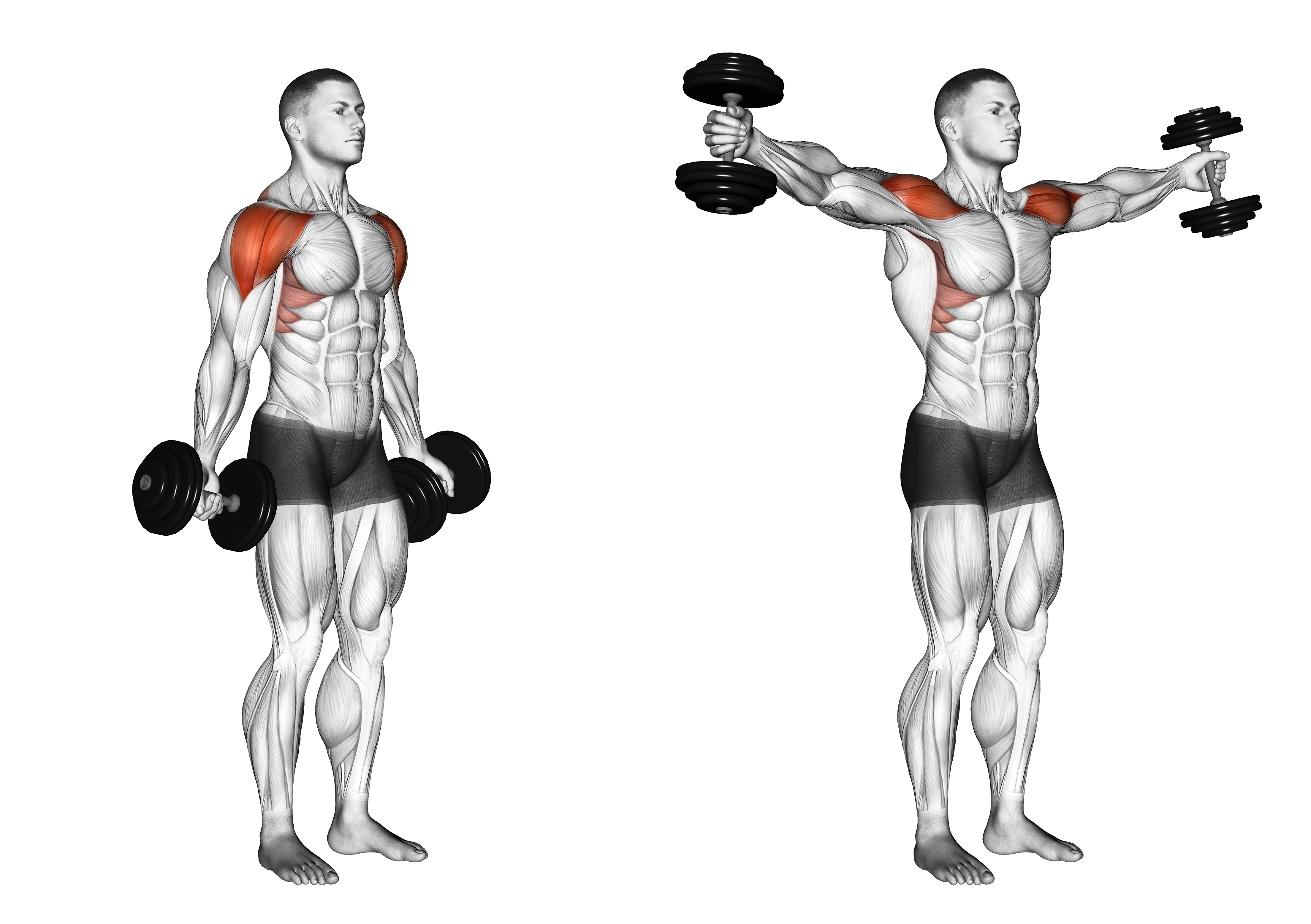 Dumbbell Full Can Lateral Raise