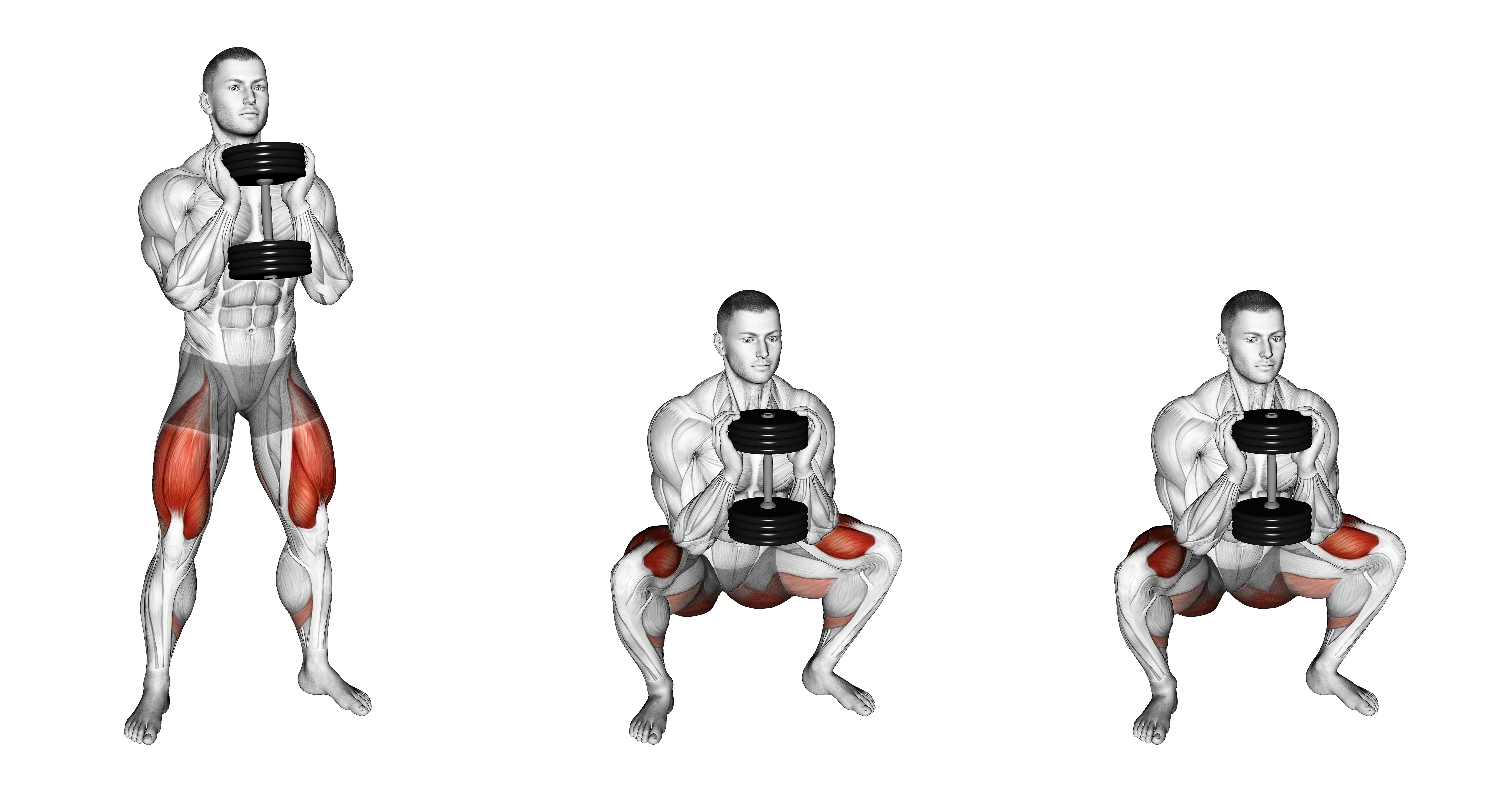 Dumbbell Goblet 2 Sec Hold Squat