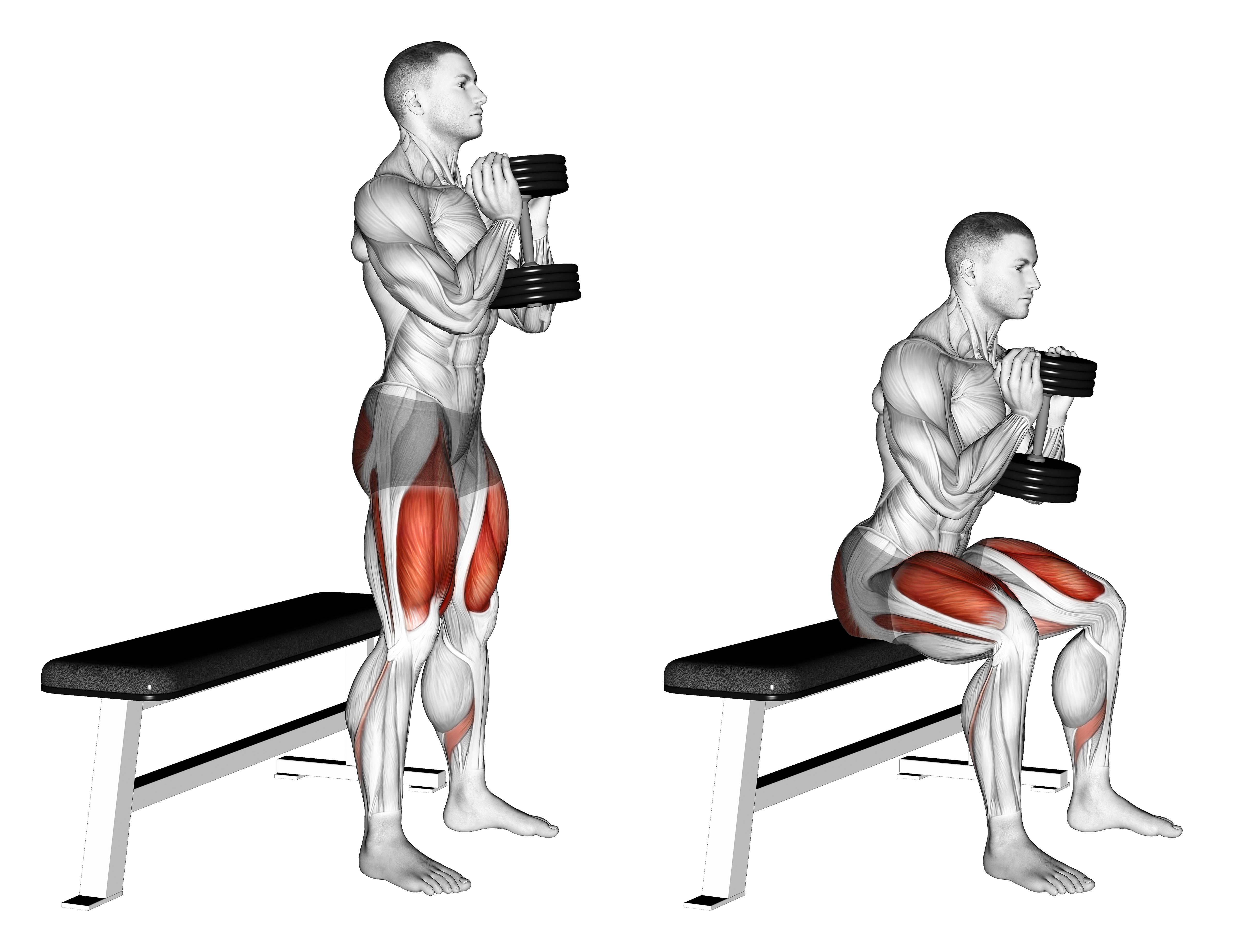 Dumbbell Goblet Box Squat