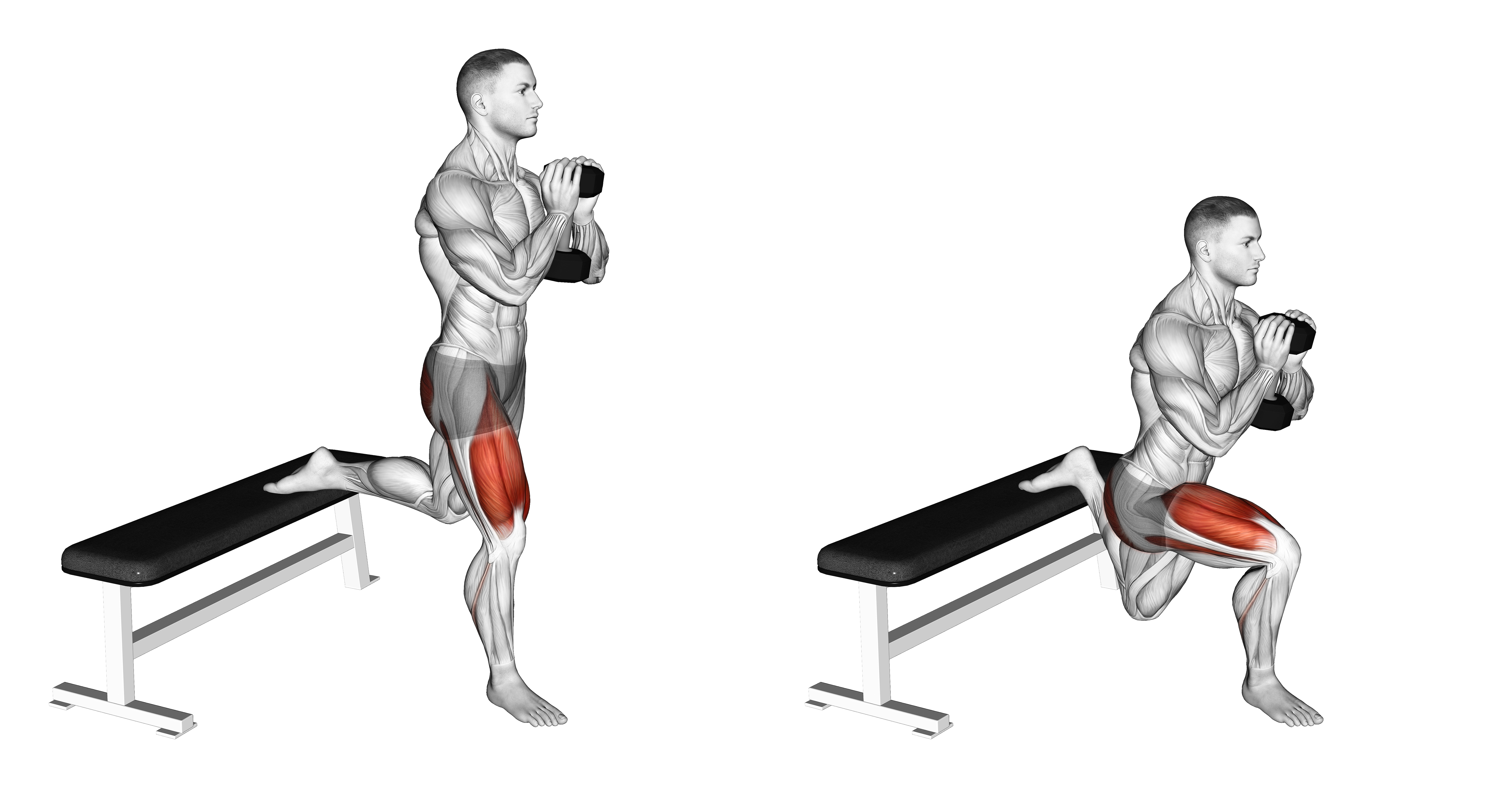 Dumbbell Goblet Bulgarian Split Squat