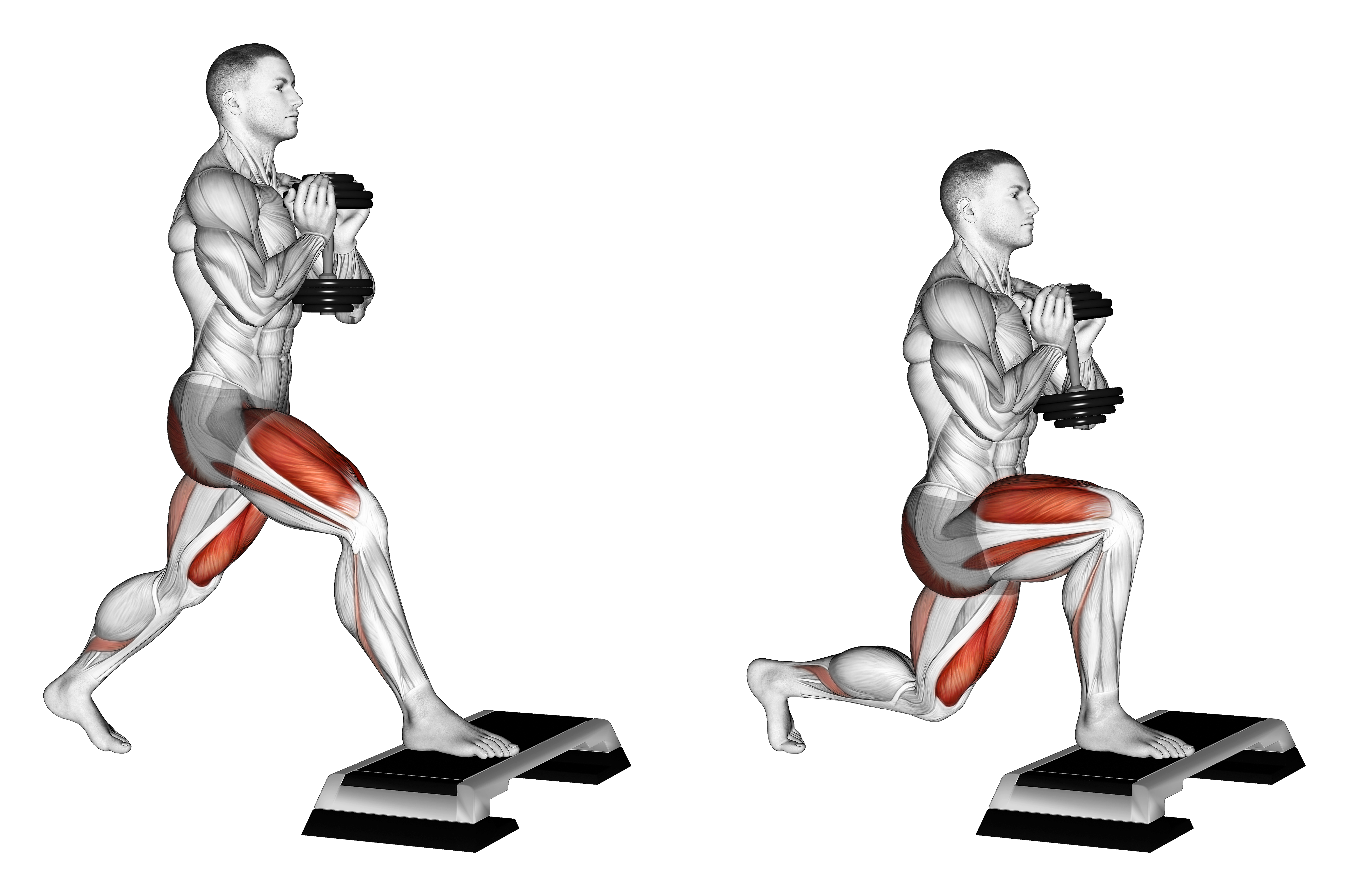 Dumbbell Goblet Split Squat Front Foot Elevanted