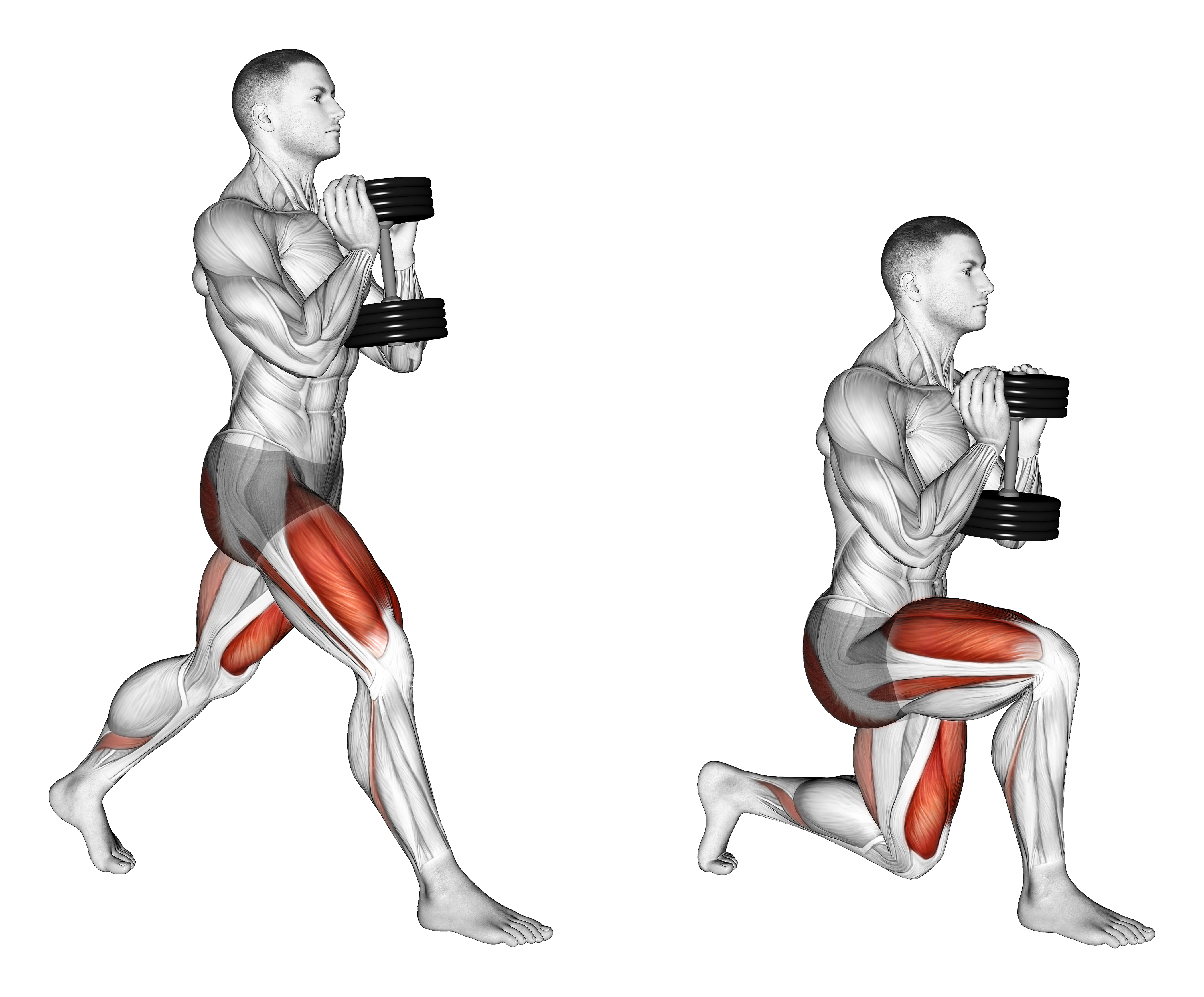 Dumbbell Goblet Split Squat