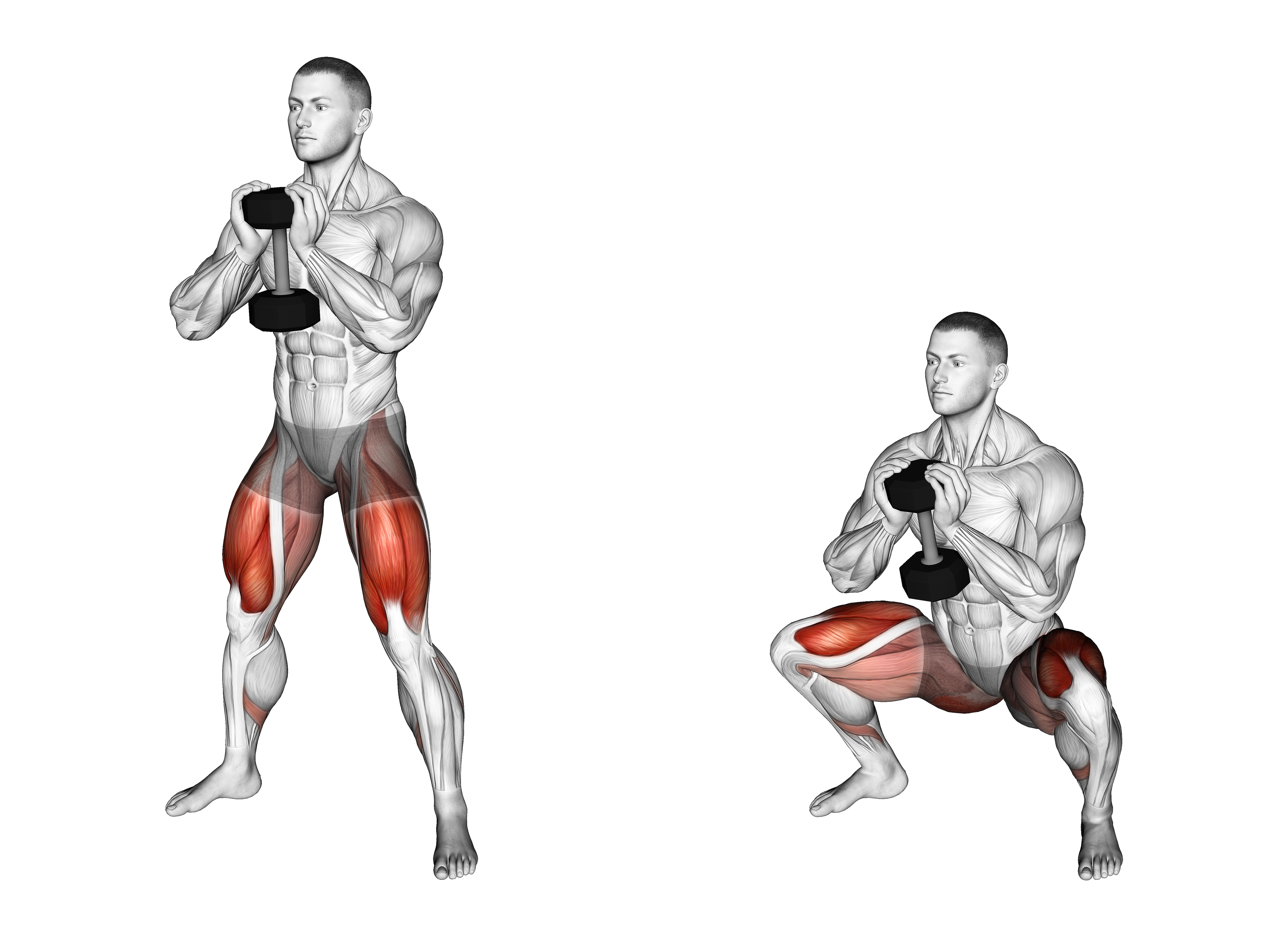 Dumbbell Goblet Sumo Squat