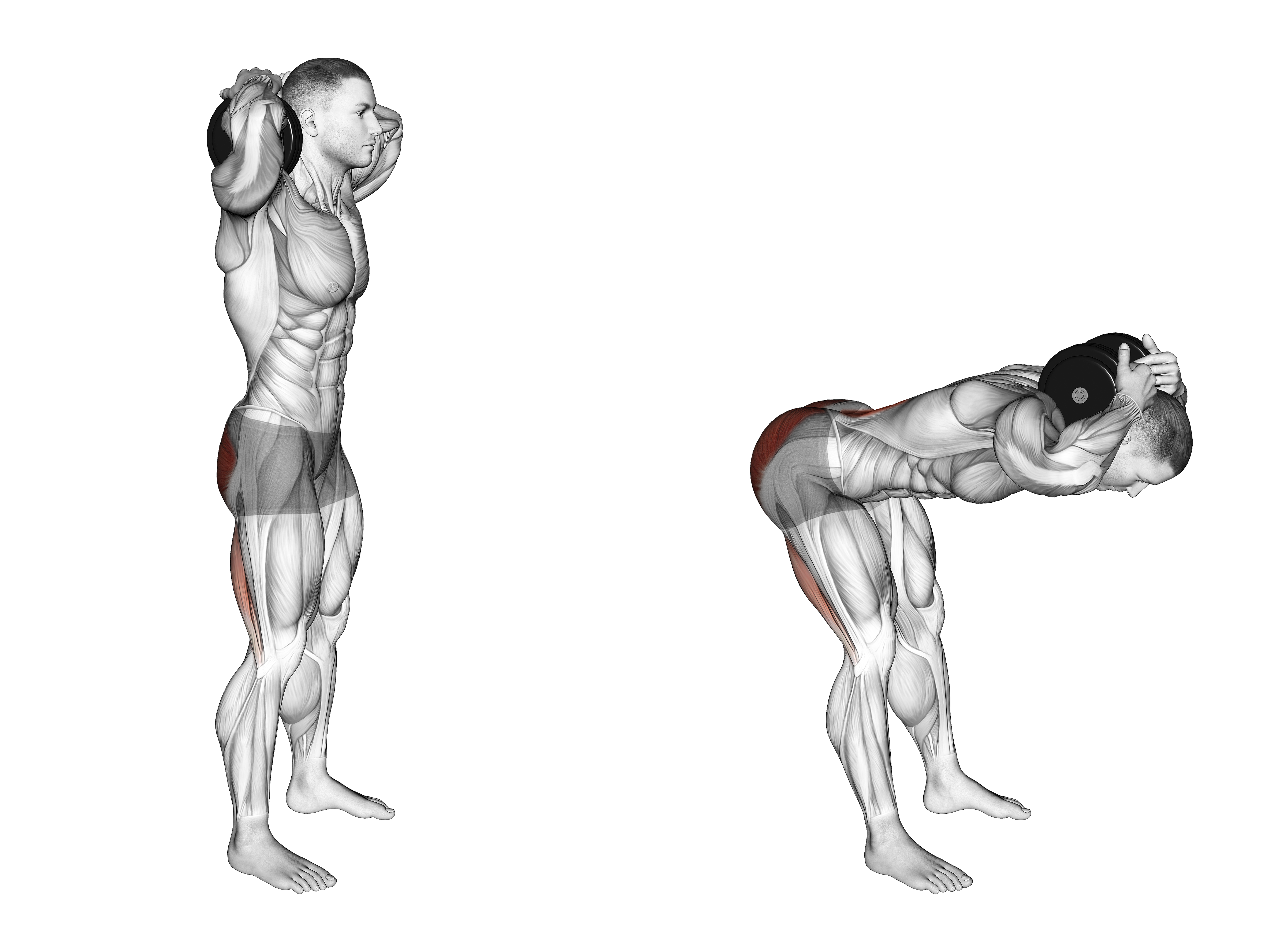 Dumbbell Good Morning