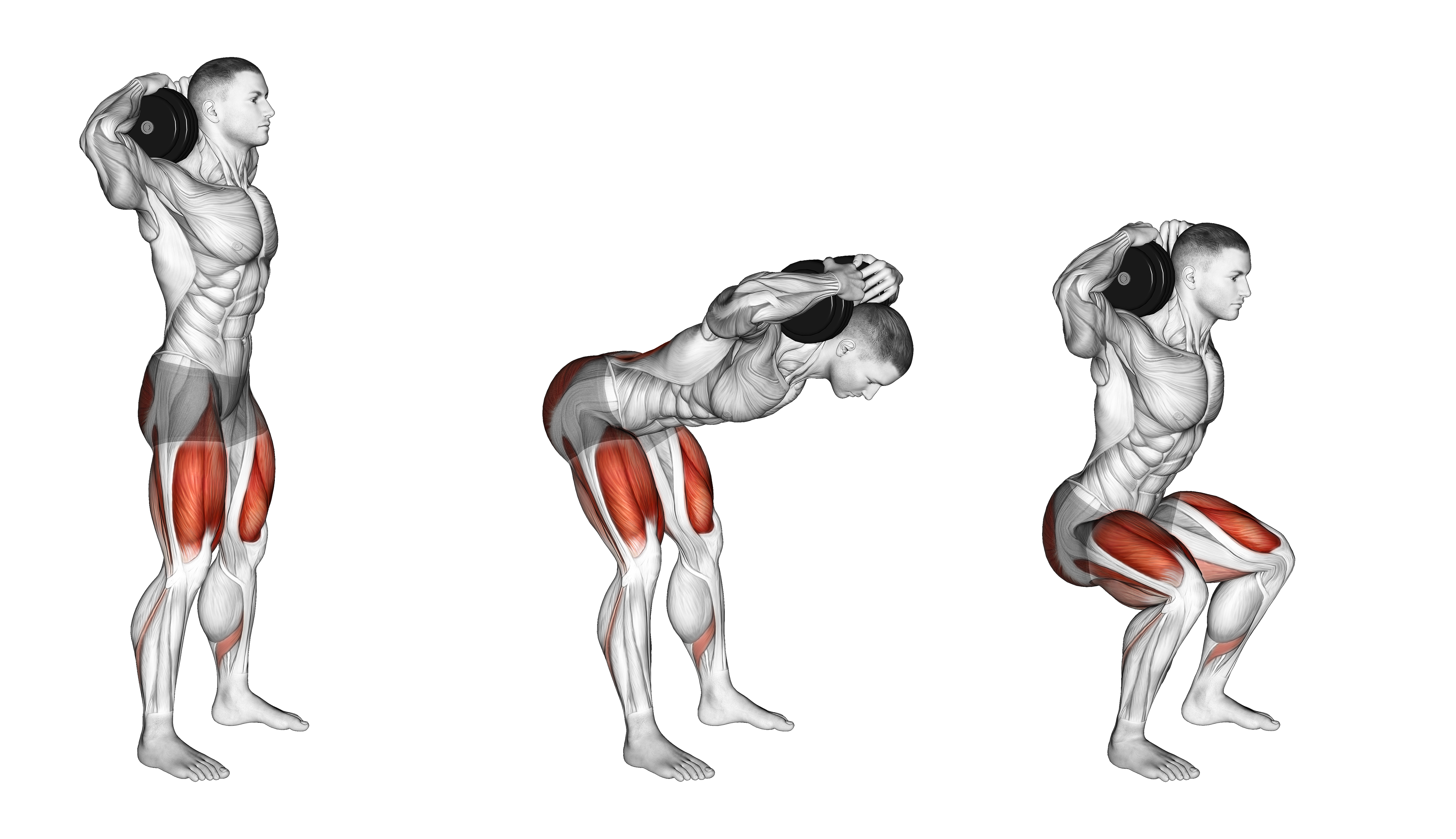 Dumbbell Good Morning Squat