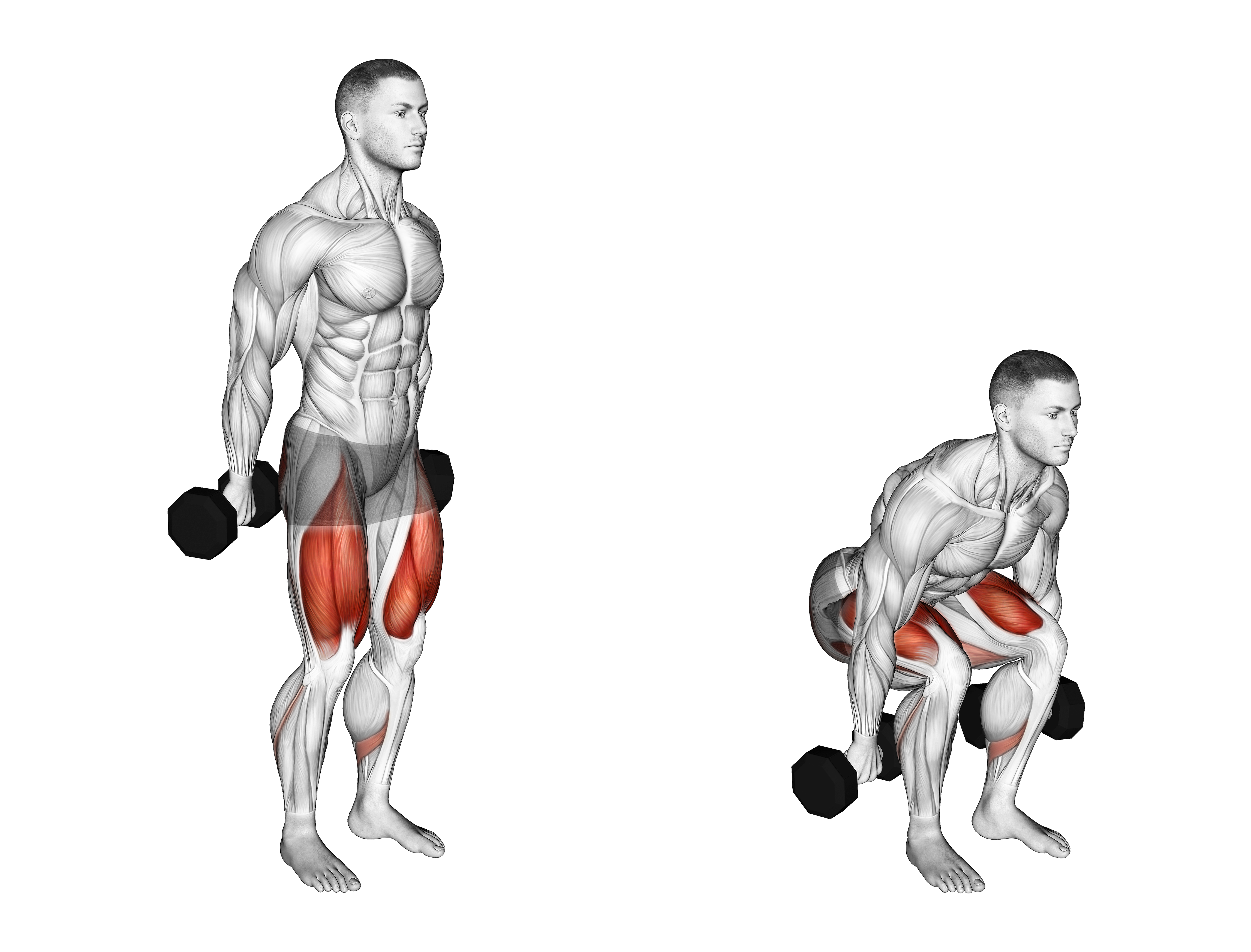 Dumbbell Hack Squat