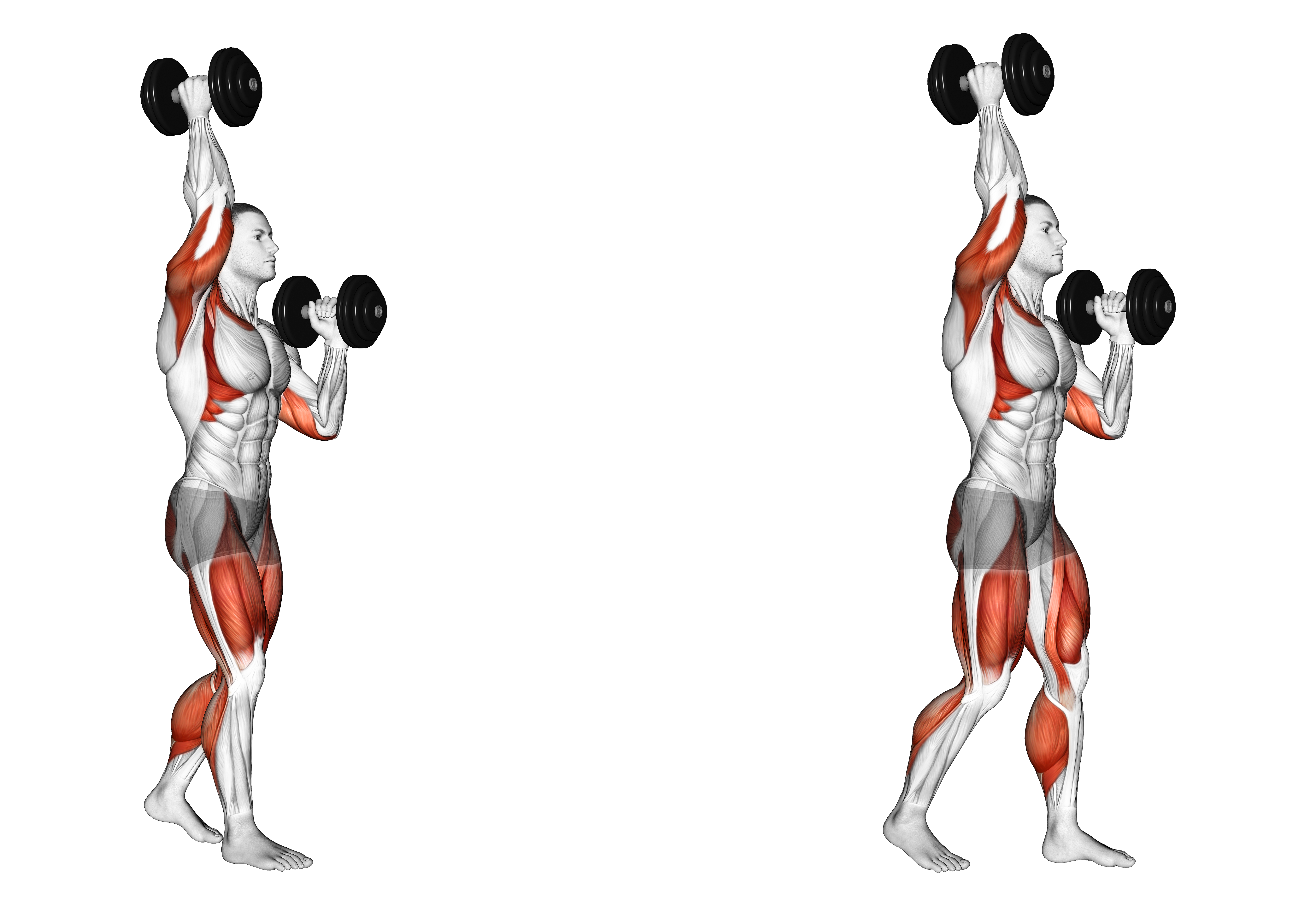 Dumbbell High Low Carry