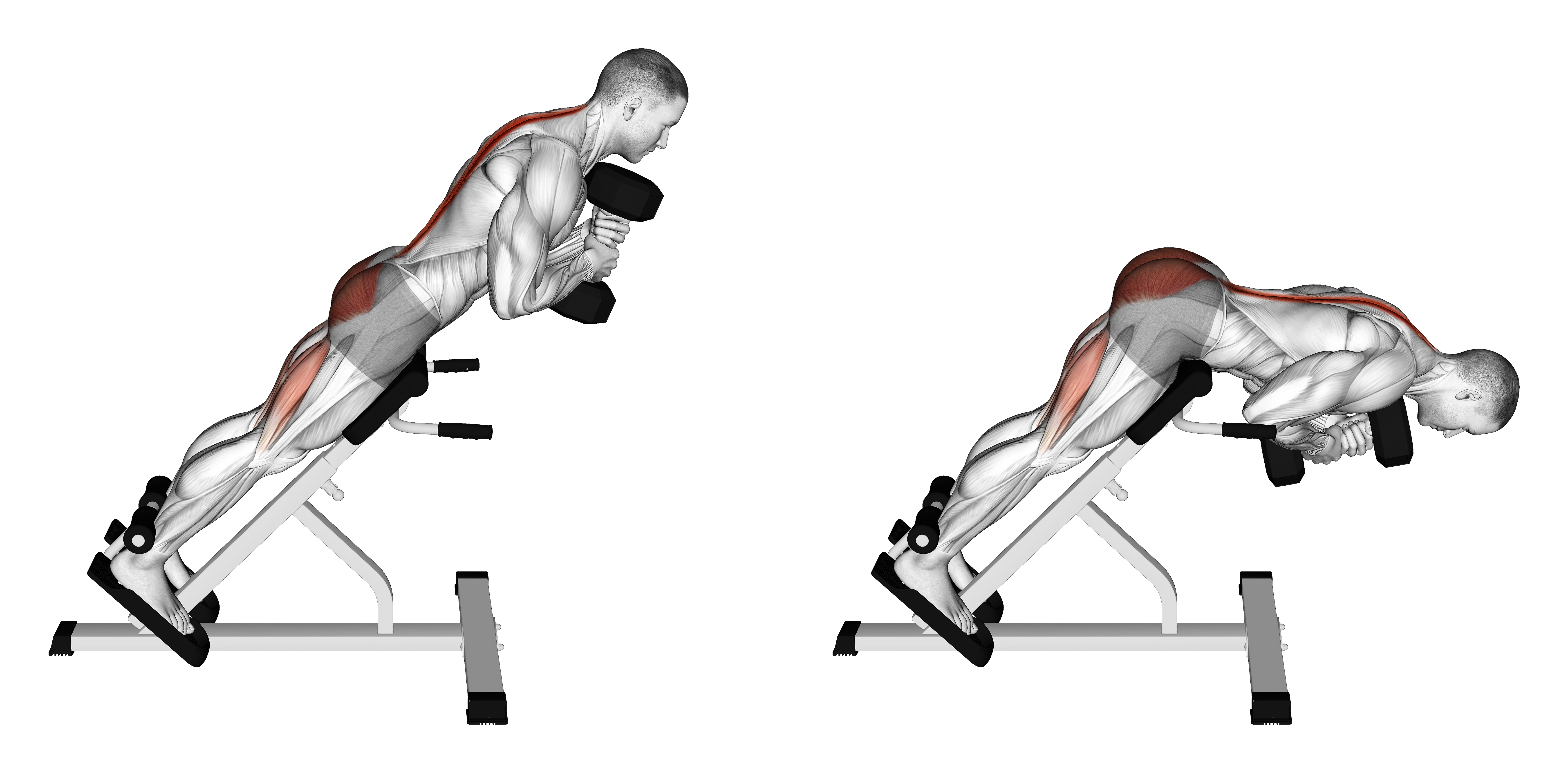 Dumbbell Hyperextension