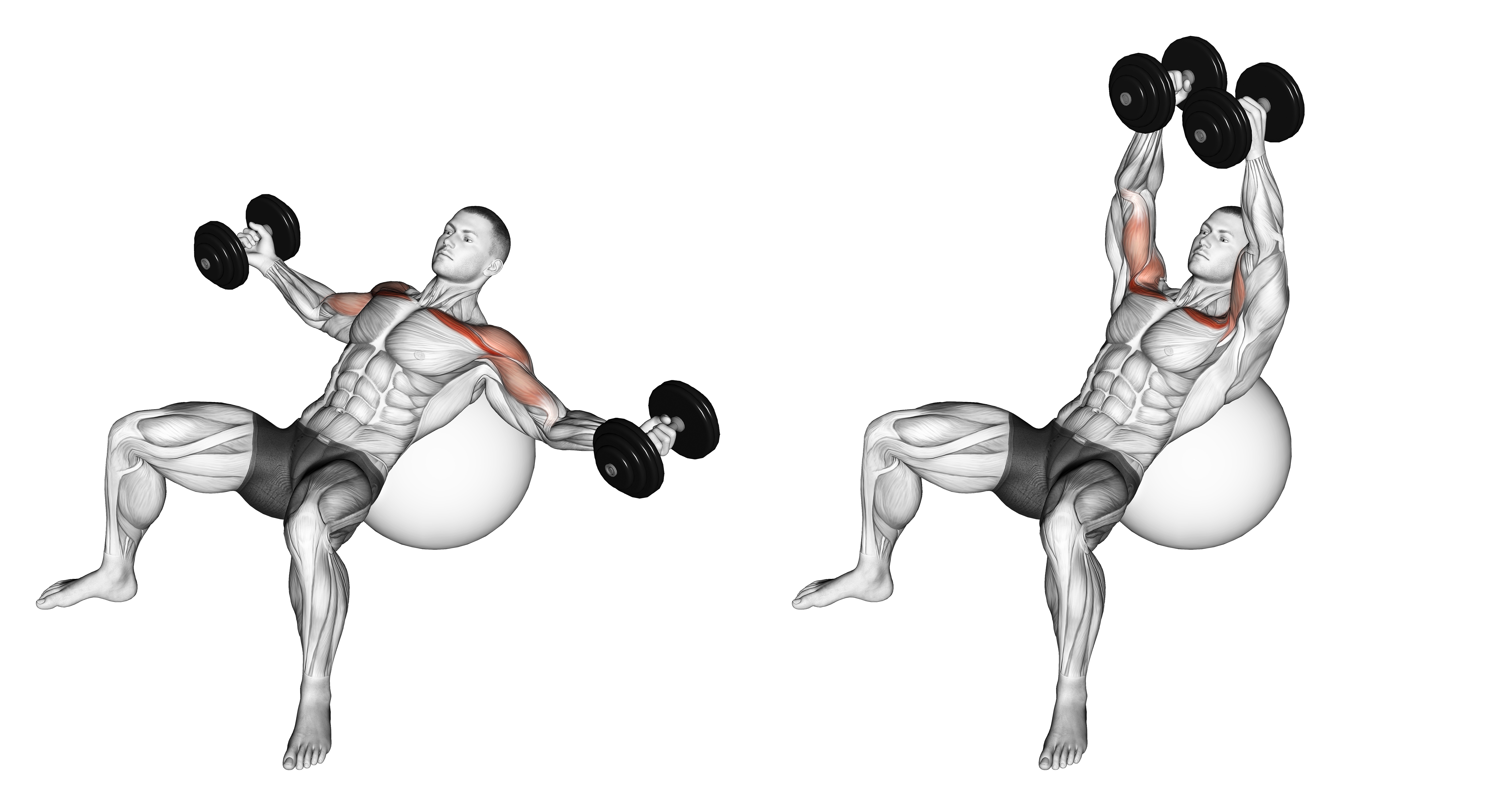 Dumbbell Incline Fly On Exercise Ball